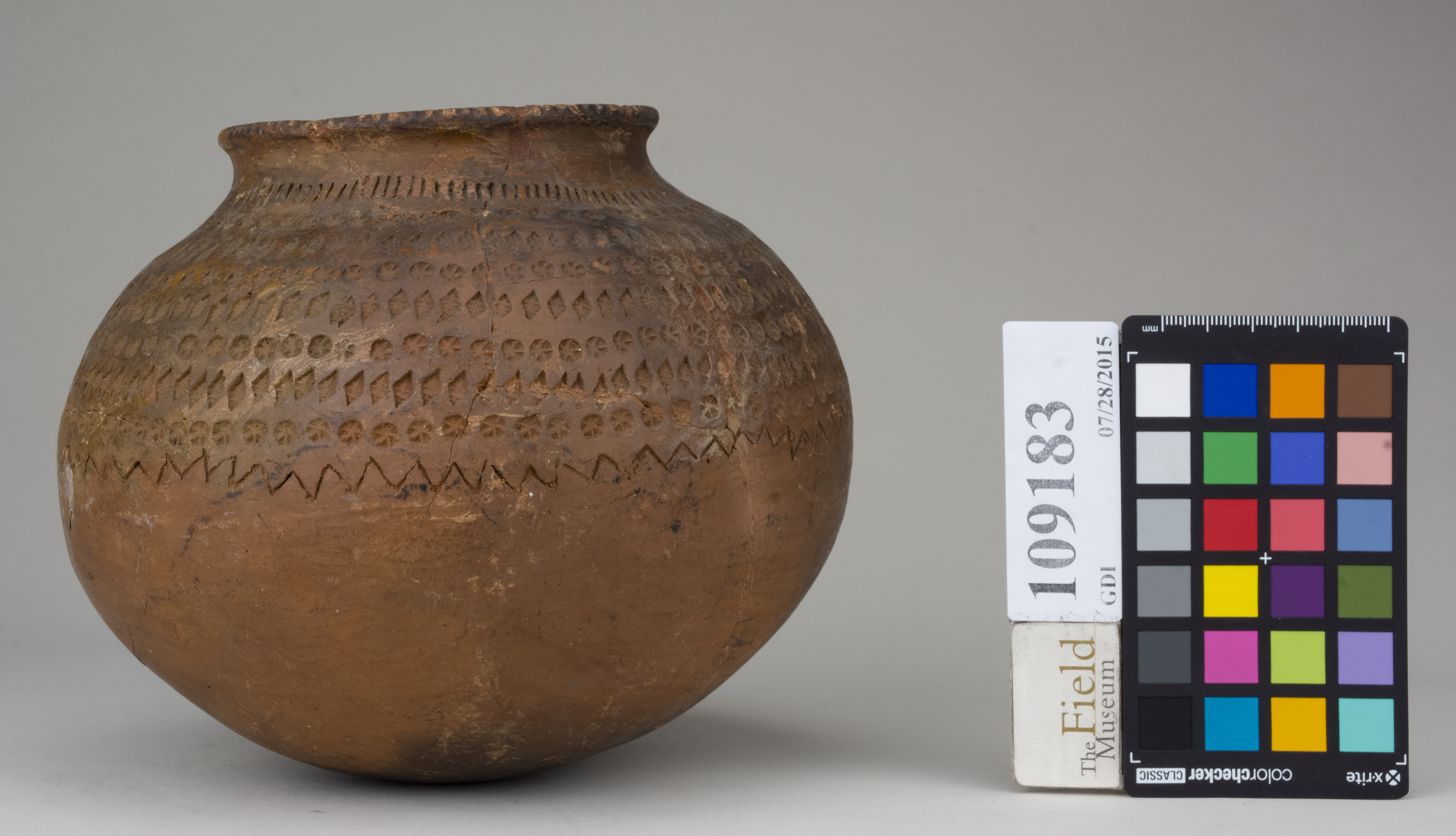 Front (c) Field Museum of Natural History - CC BY-NC 4.0