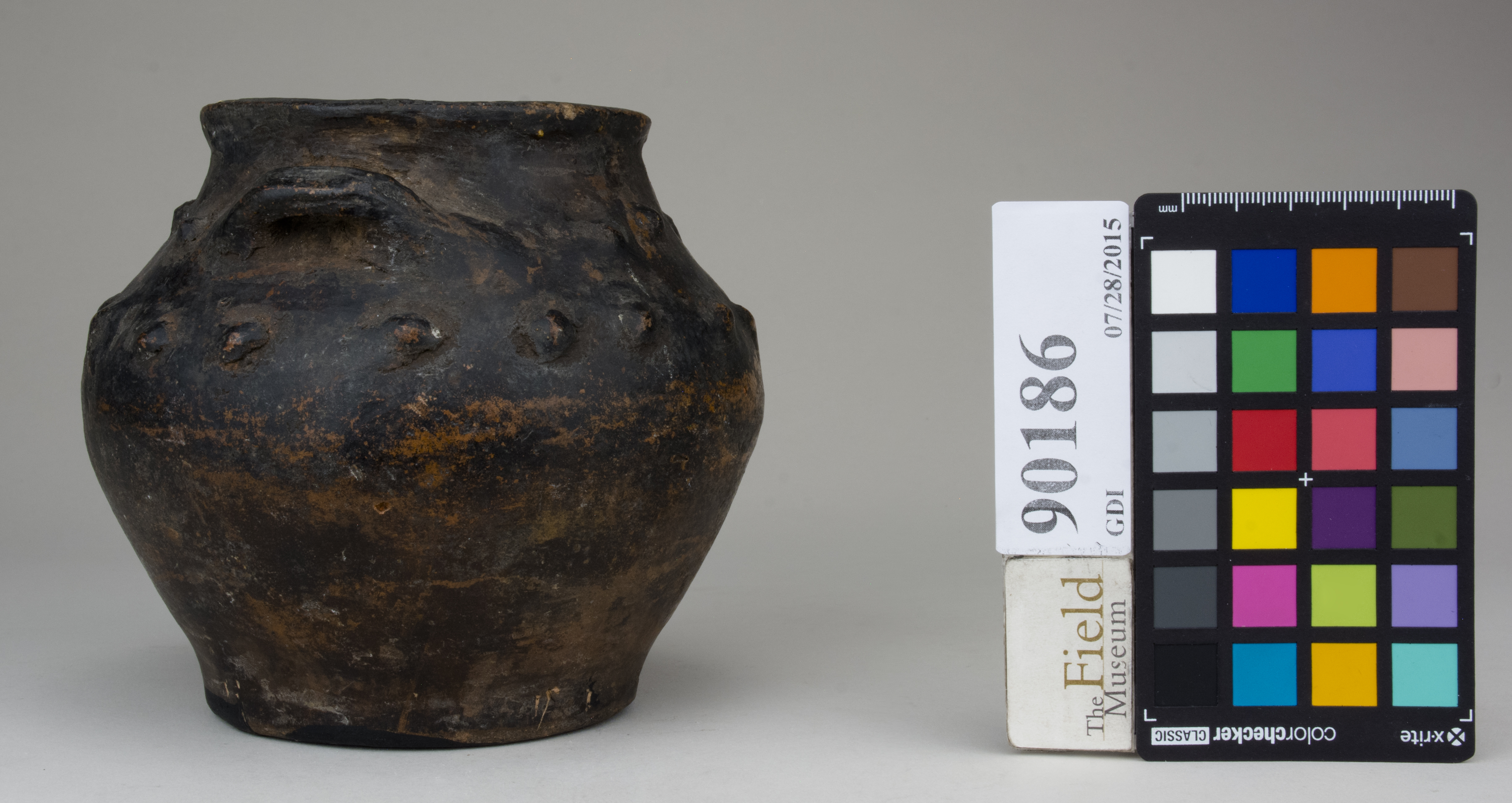 Right (c) Field Museum of Natural History - CC BY-NC 4.0