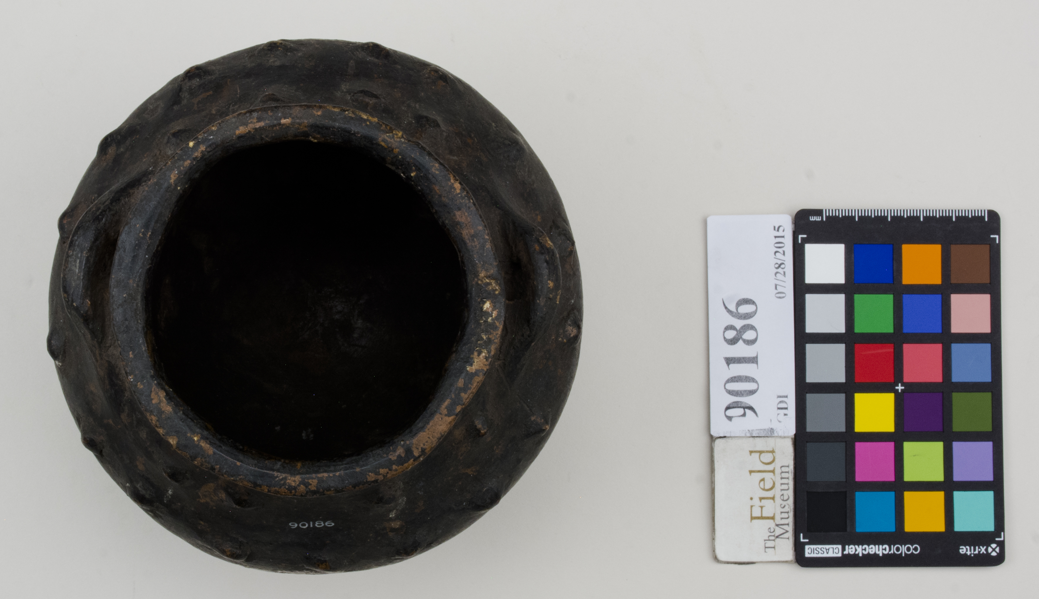 Top (c) Field Museum of Natural History - CC BY-NC 4.0