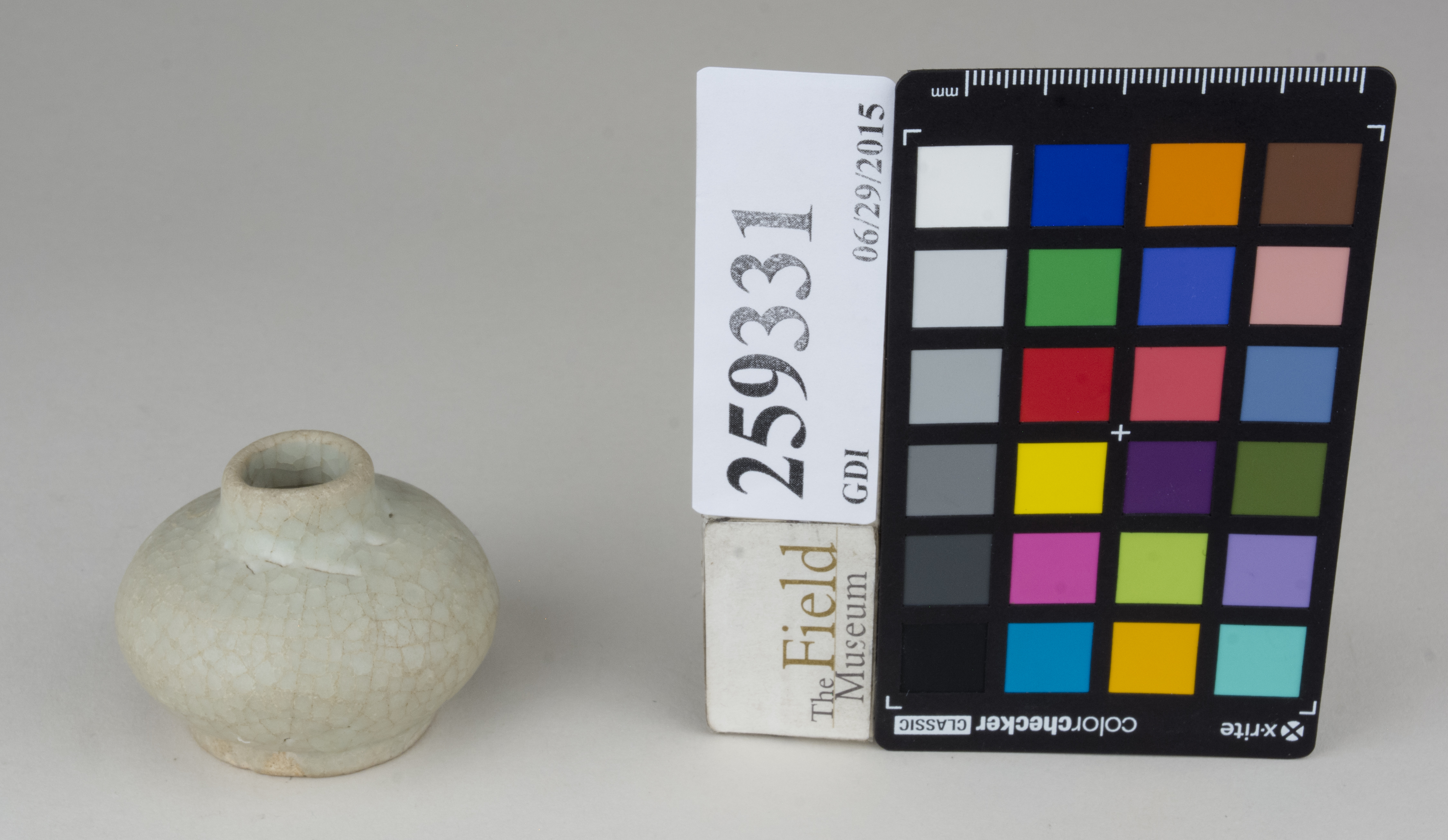 FrontAngle (c) Field Museum of Natural History - CC BY-NC 4.0