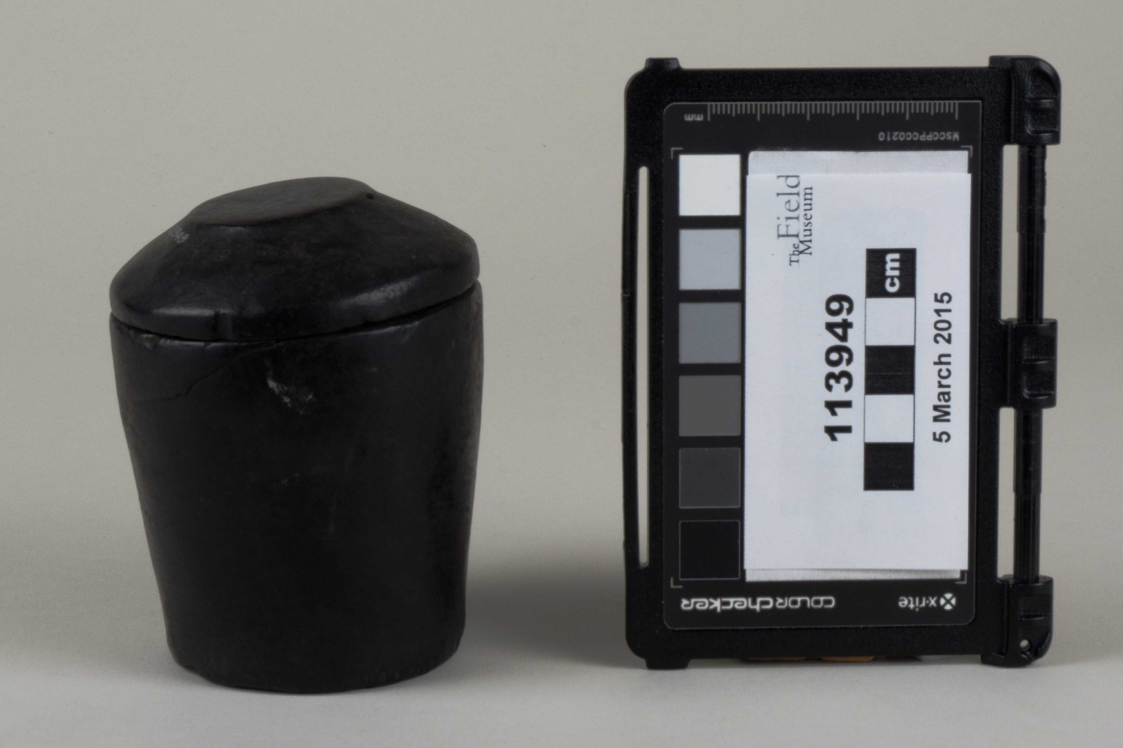 Front view (c) Field Museum of Natural History - CC BY-NC 4.0