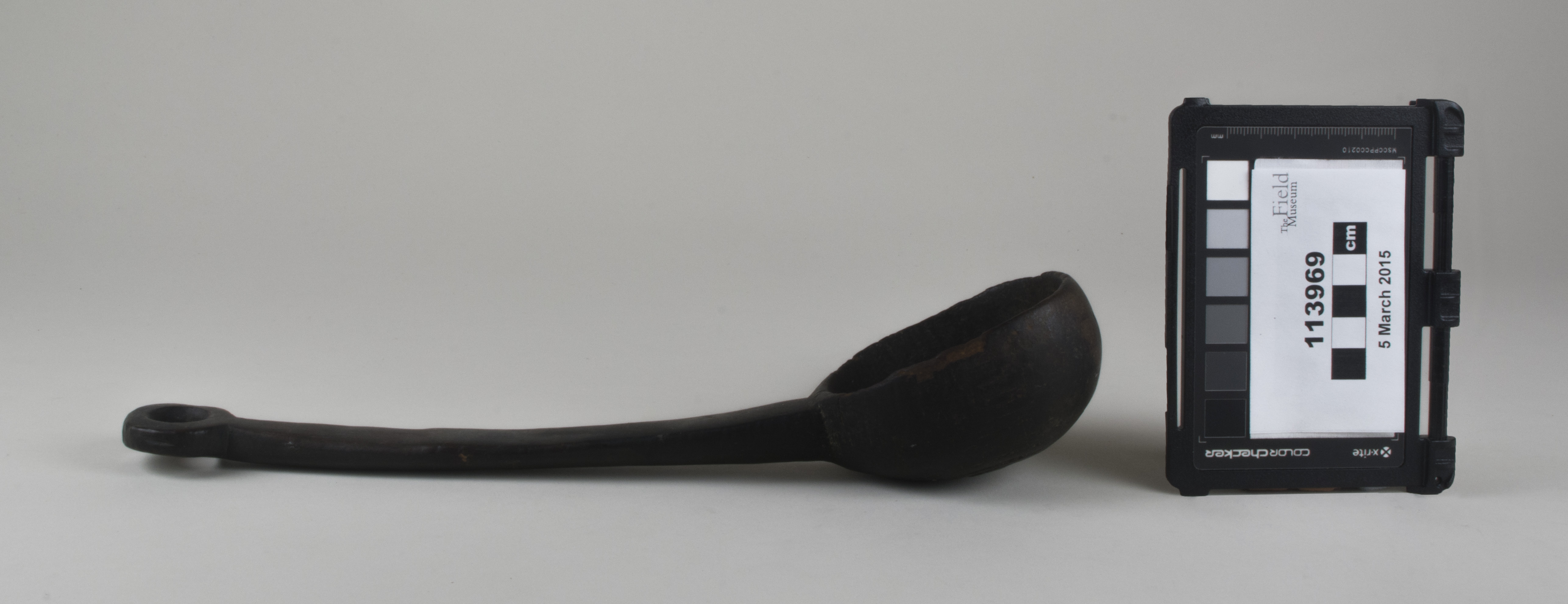 Side view (c) Field Museum of Natural History - CC BY-NC 4.0