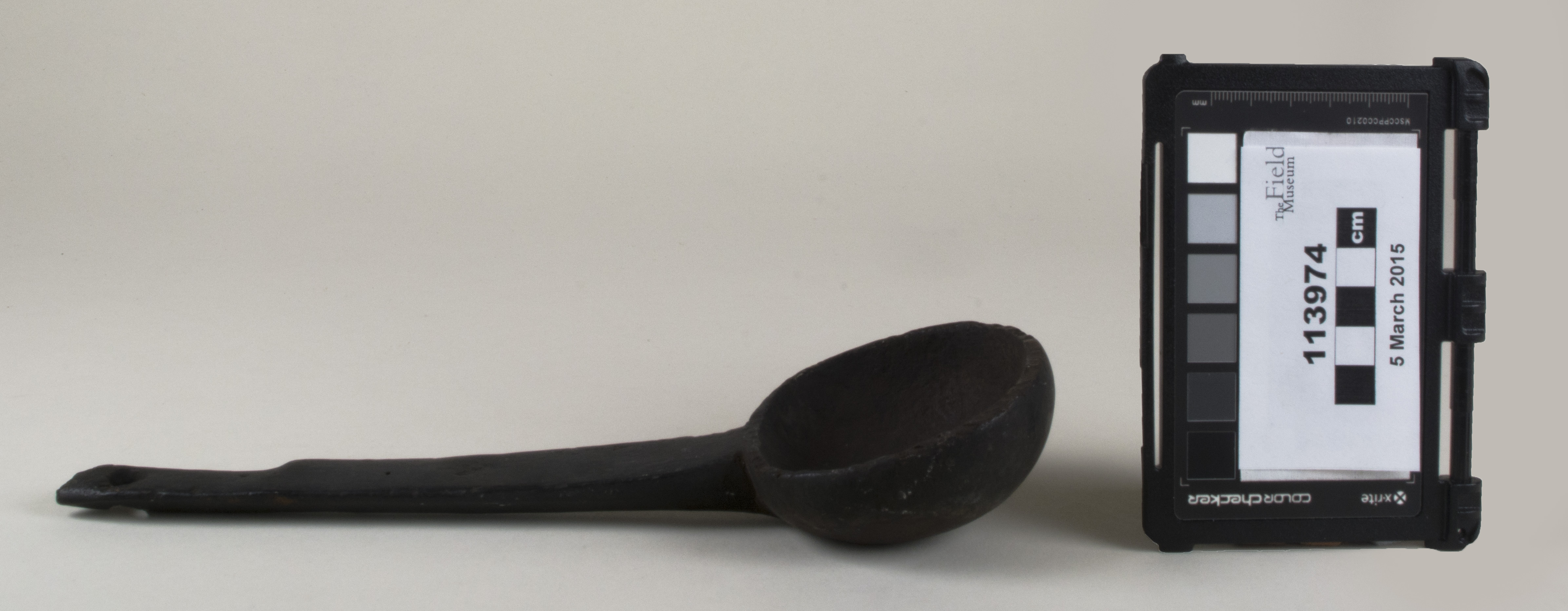 Side view (c) Field Museum of Natural History - CC BY-NC 4.0