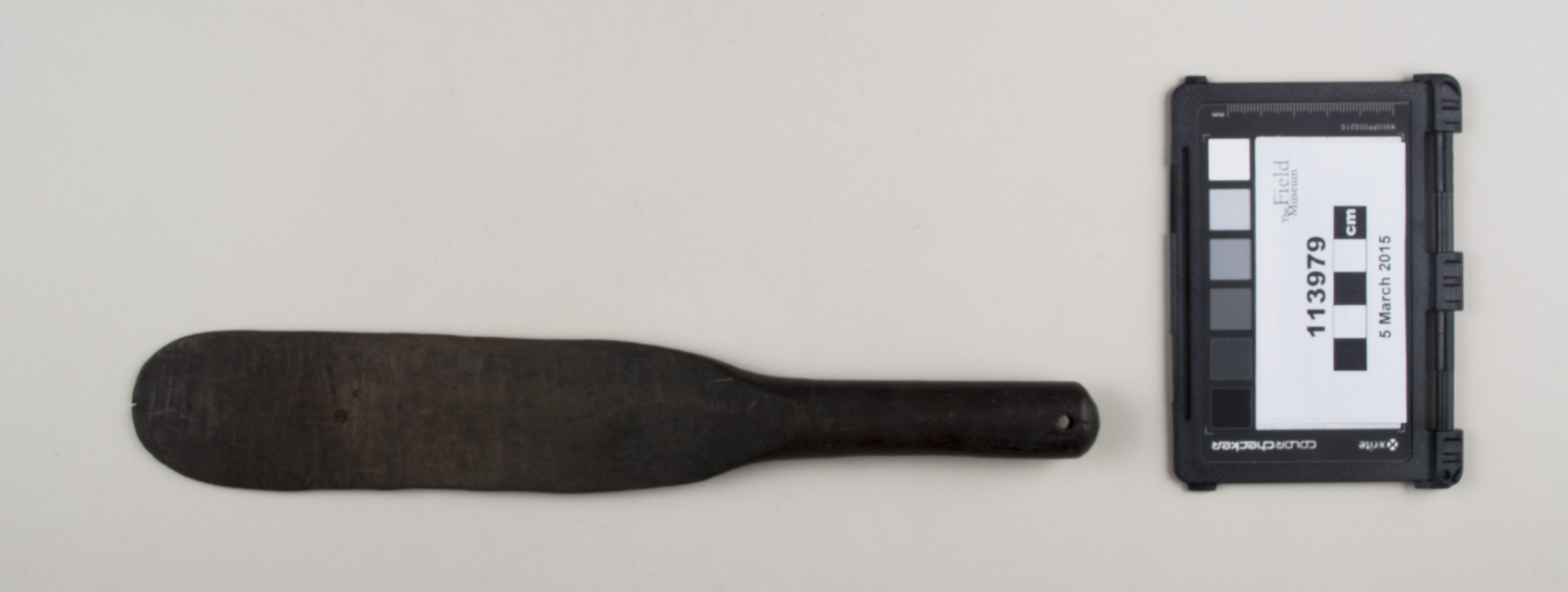 Front view (c) Field Museum of Natural History - CC BY-NC 4.0