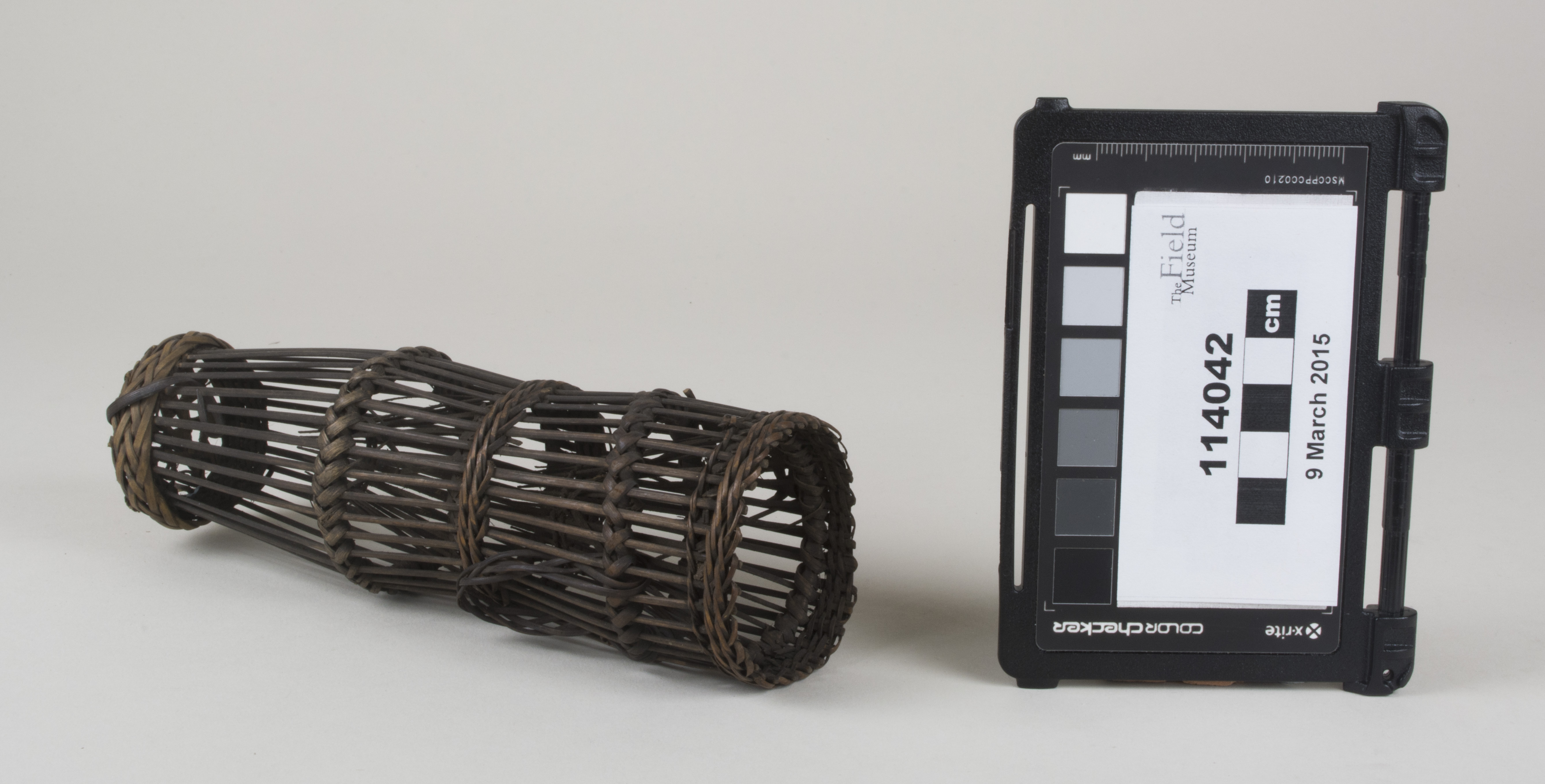 Side view (c) Field Museum of Natural History - CC BY-NC 4.0