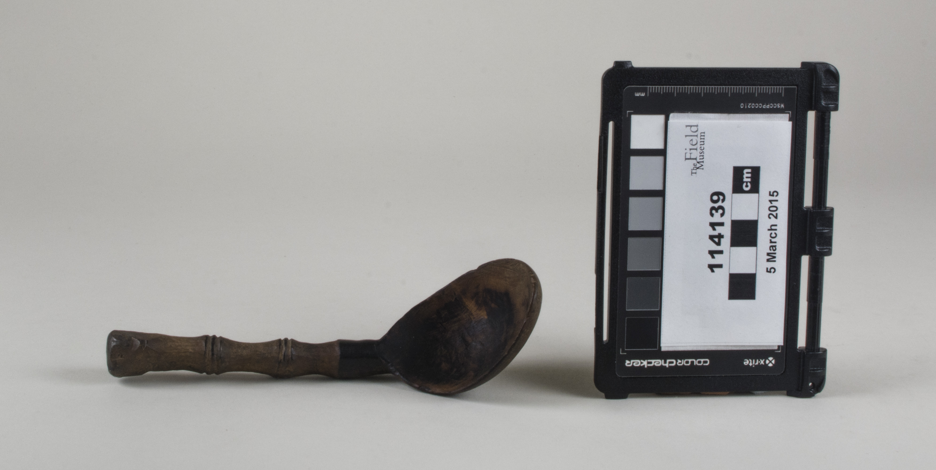 Side view (c) Field Museum of Natural History - CC BY-NC 4.0