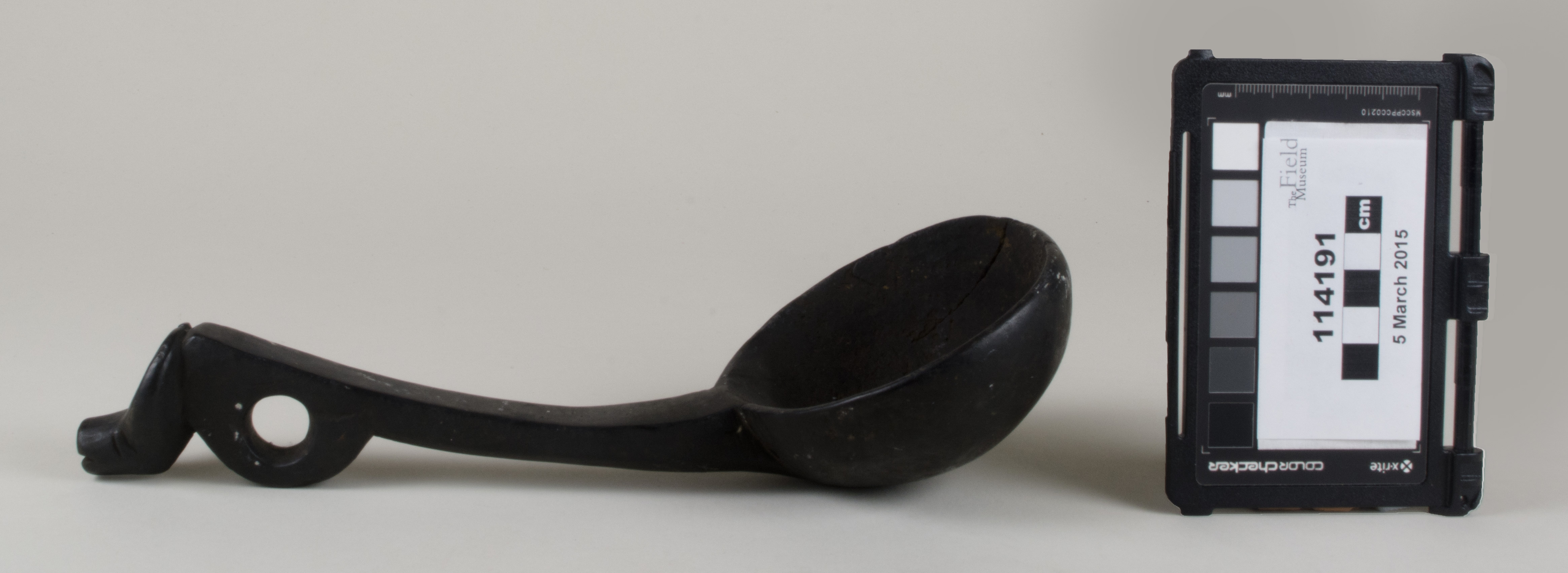 Side view (c) Field Museum of Natural History - CC BY-NC 4.0