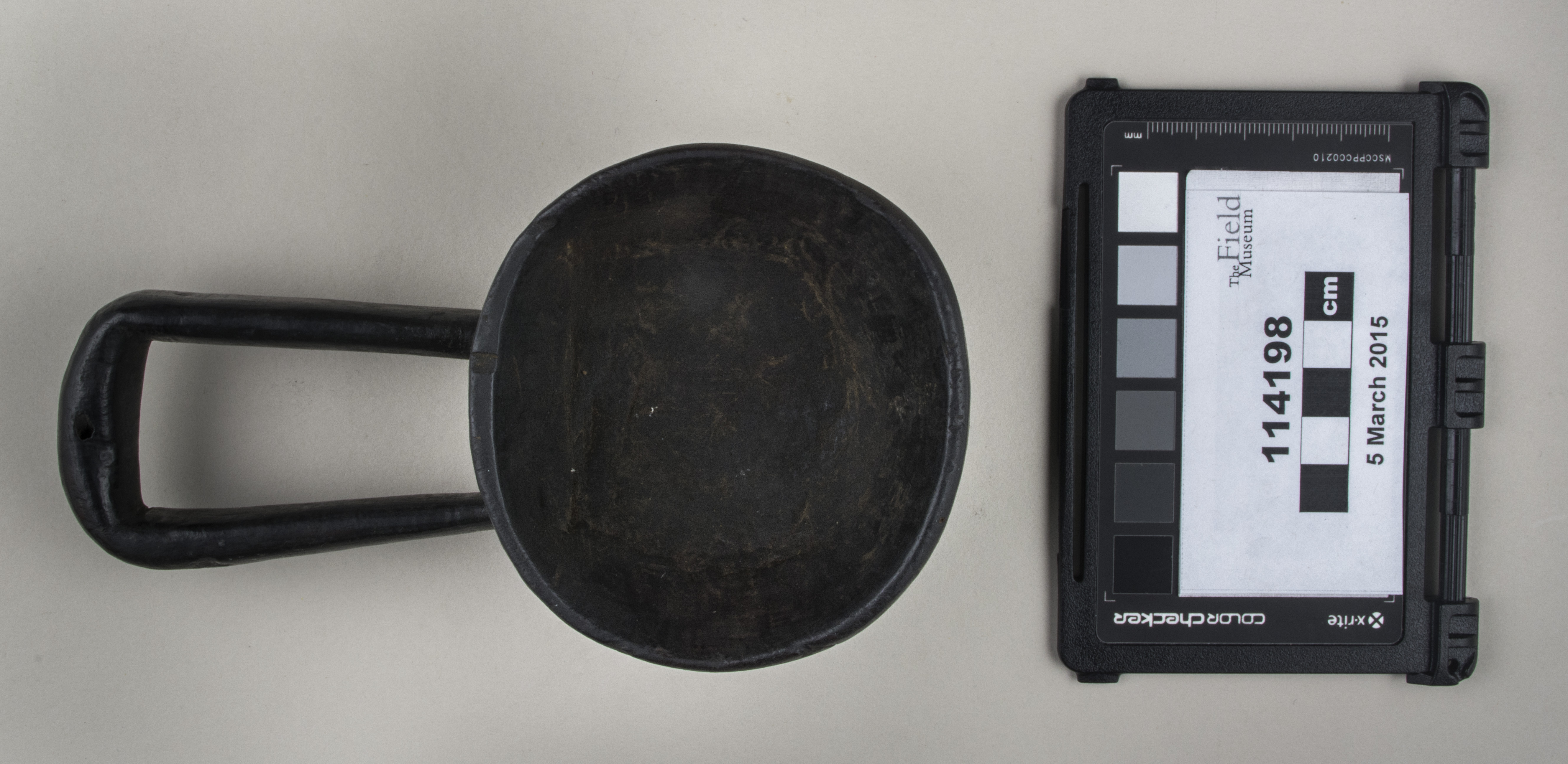 Front view (c) Field Museum of Natural History - CC BY-NC 4.0