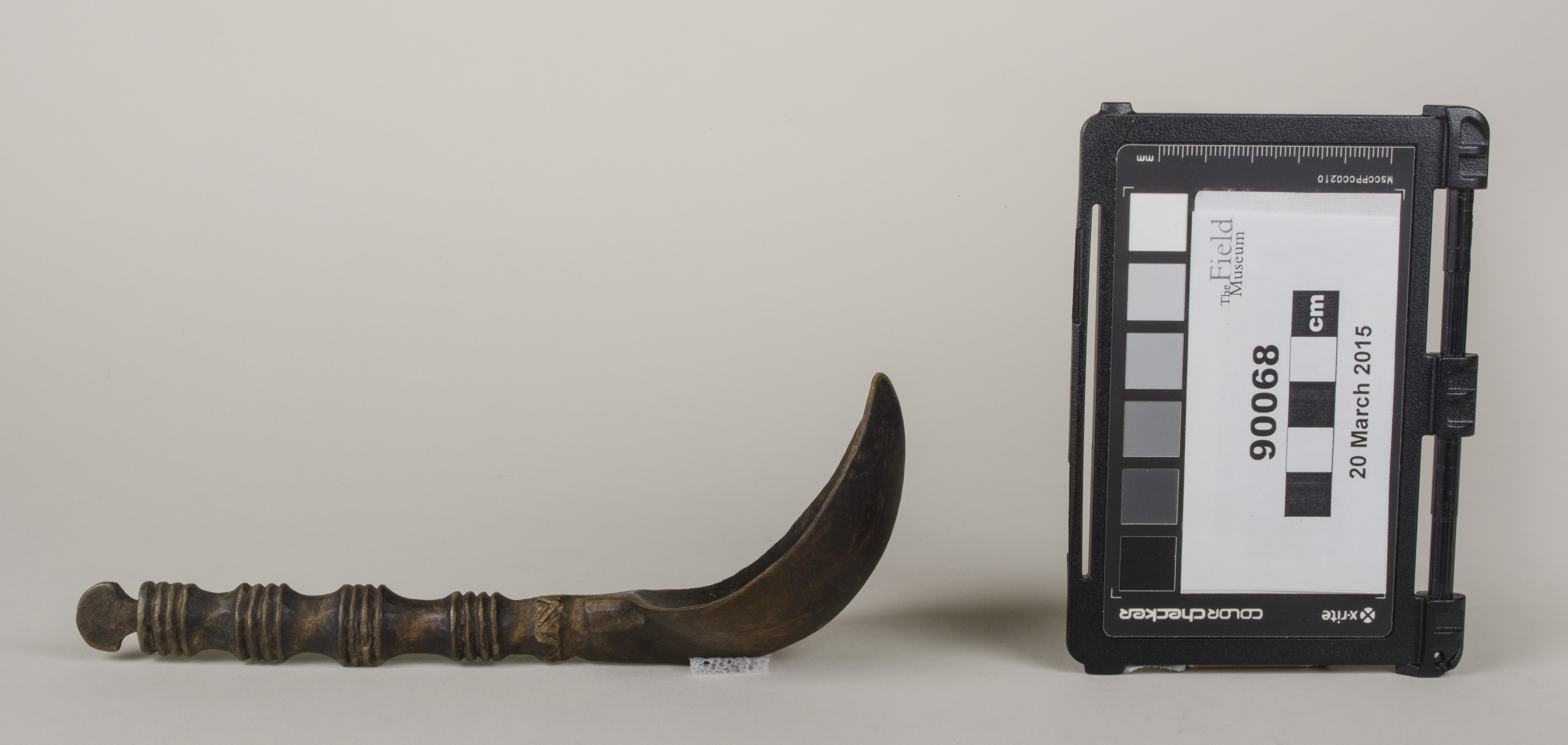 Side view (c) Field Museum of Natural History - CC BY-NC 4.0