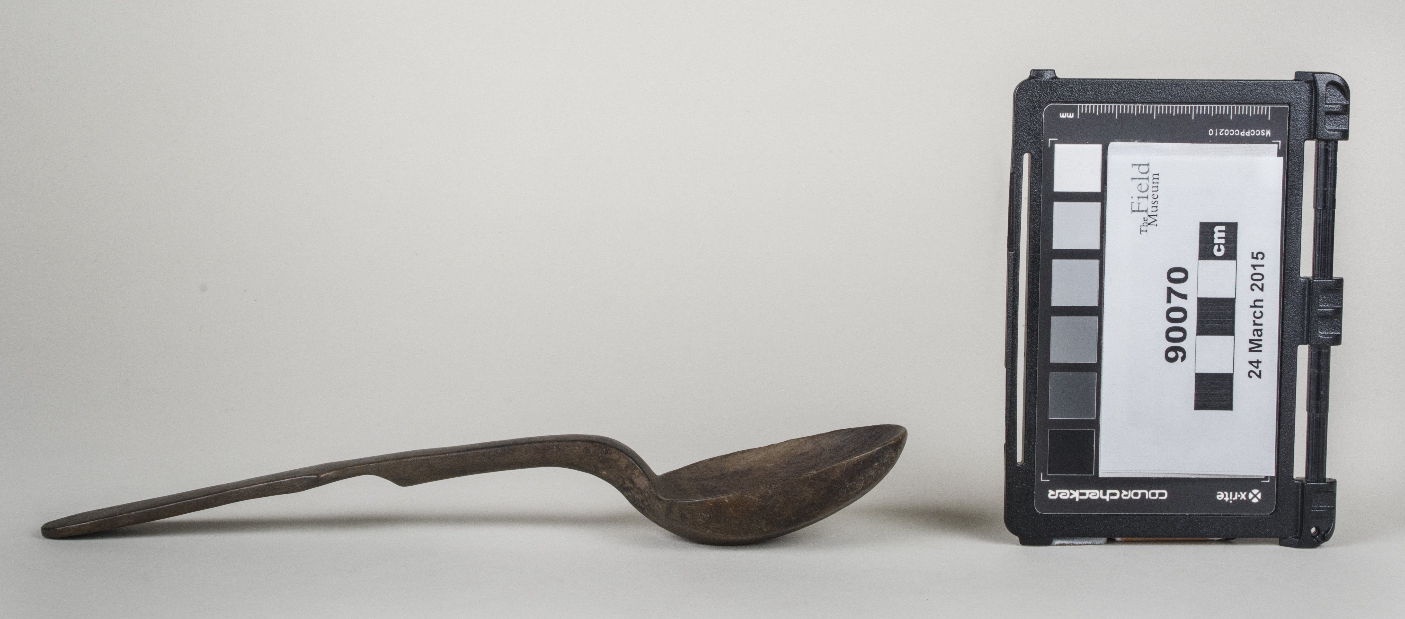 Side view (c) Field Museum of Natural History - CC BY-NC 4.0