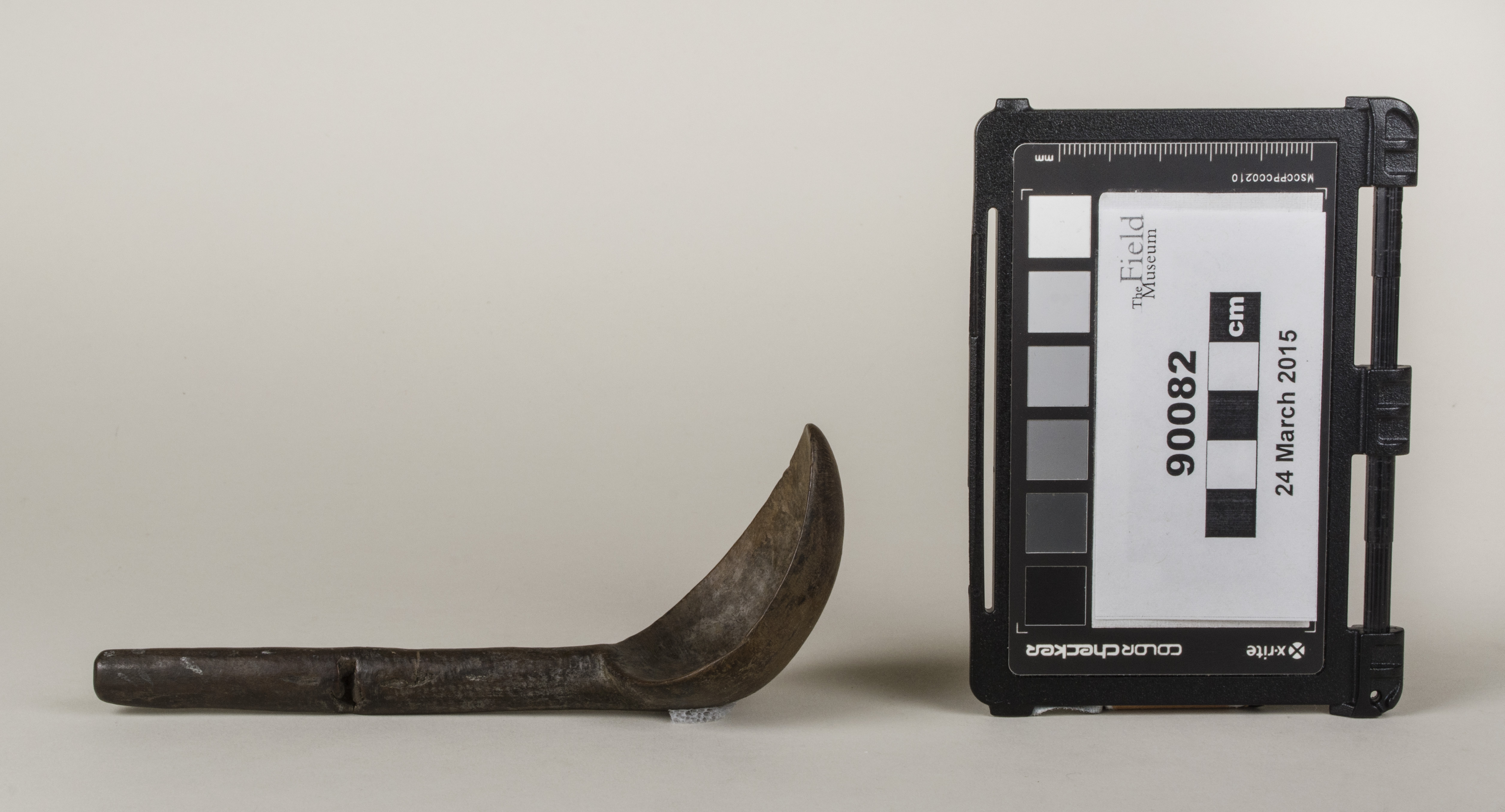 Side view (c) Field Museum of Natural History - CC BY-NC 4.0