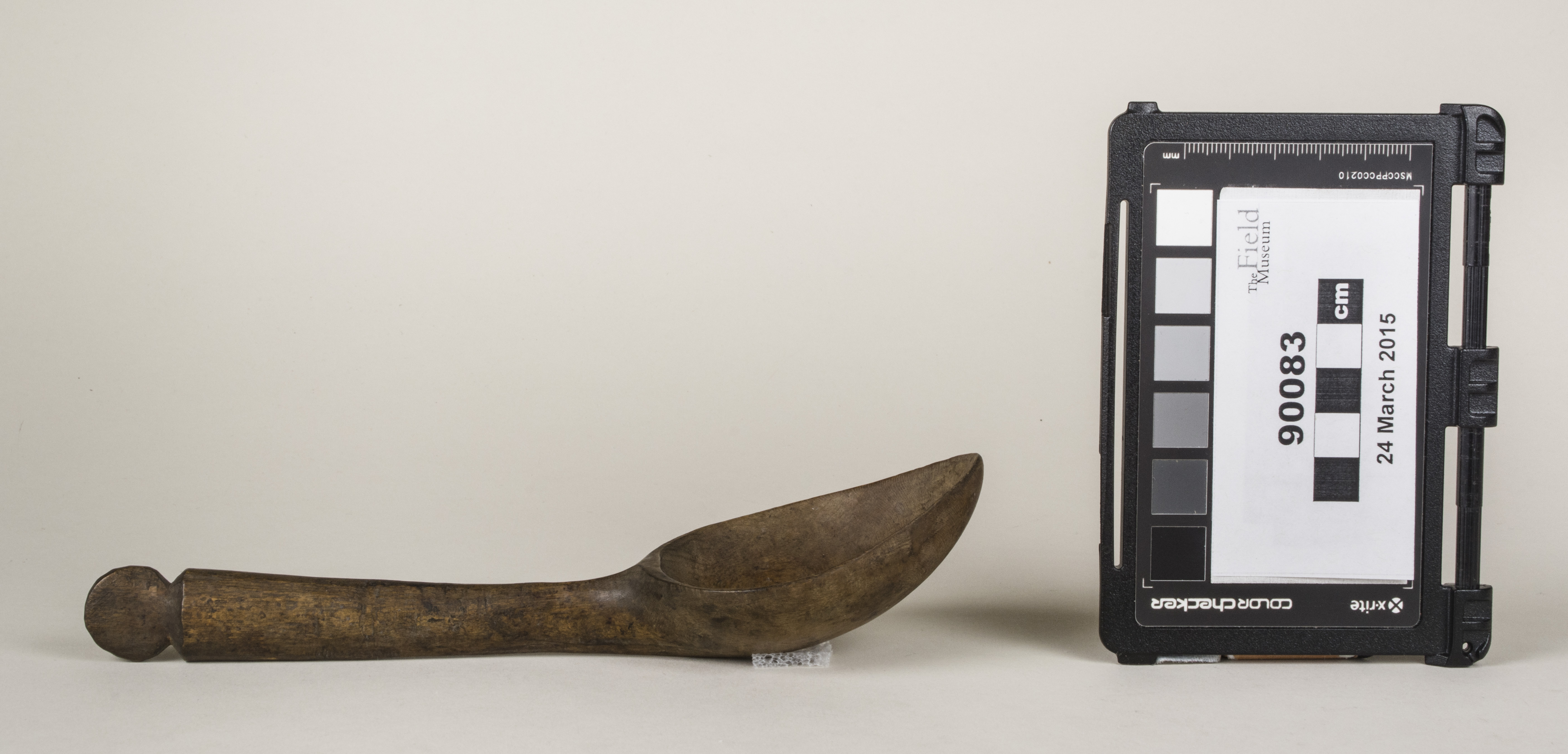 Side view (c) Field Museum of Natural History - CC BY-NC 4.0