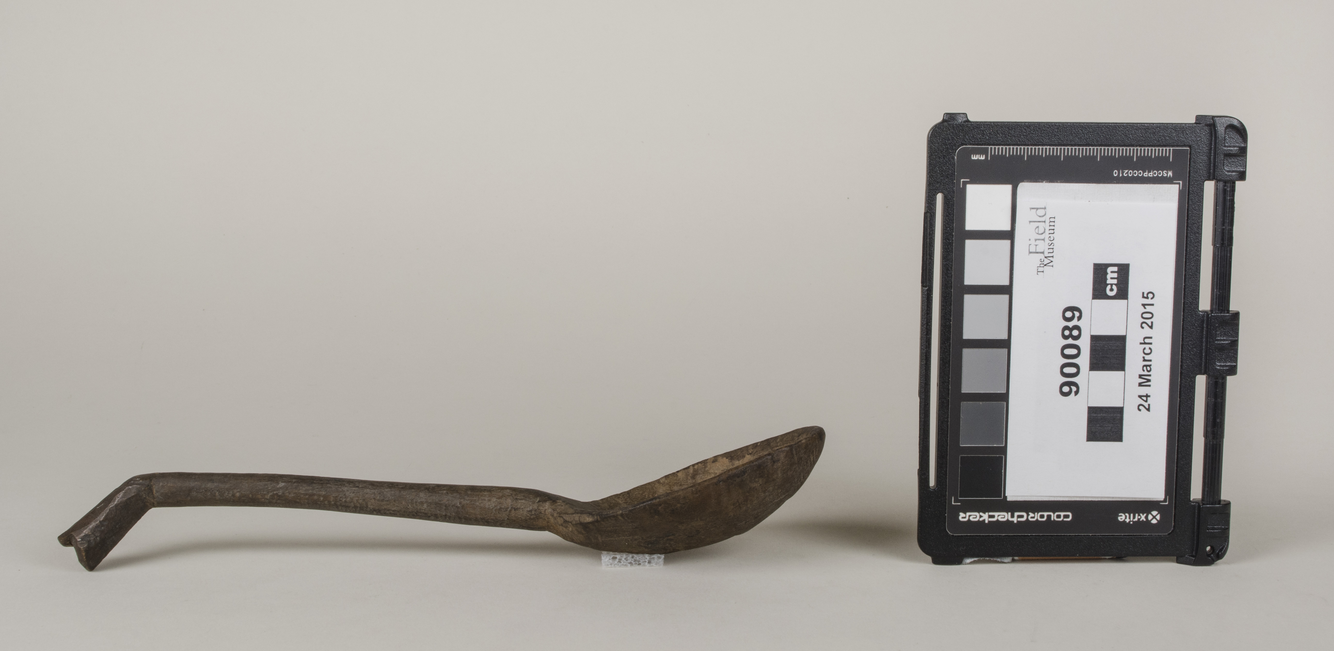 Side view (c) Field Museum of Natural History - CC BY-NC 4.0