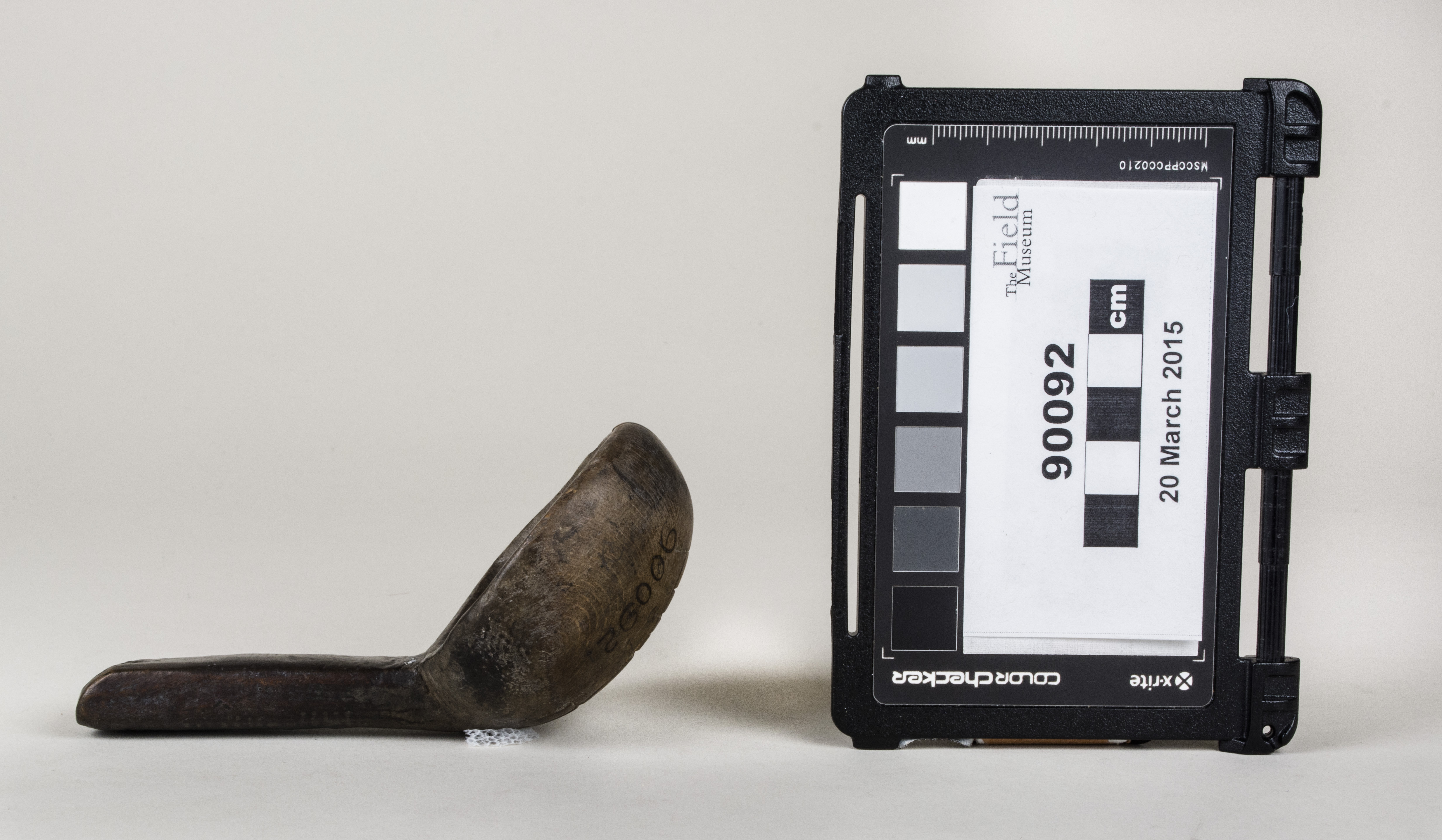 Side view (c) Field Museum of Natural History - CC BY-NC 4.0