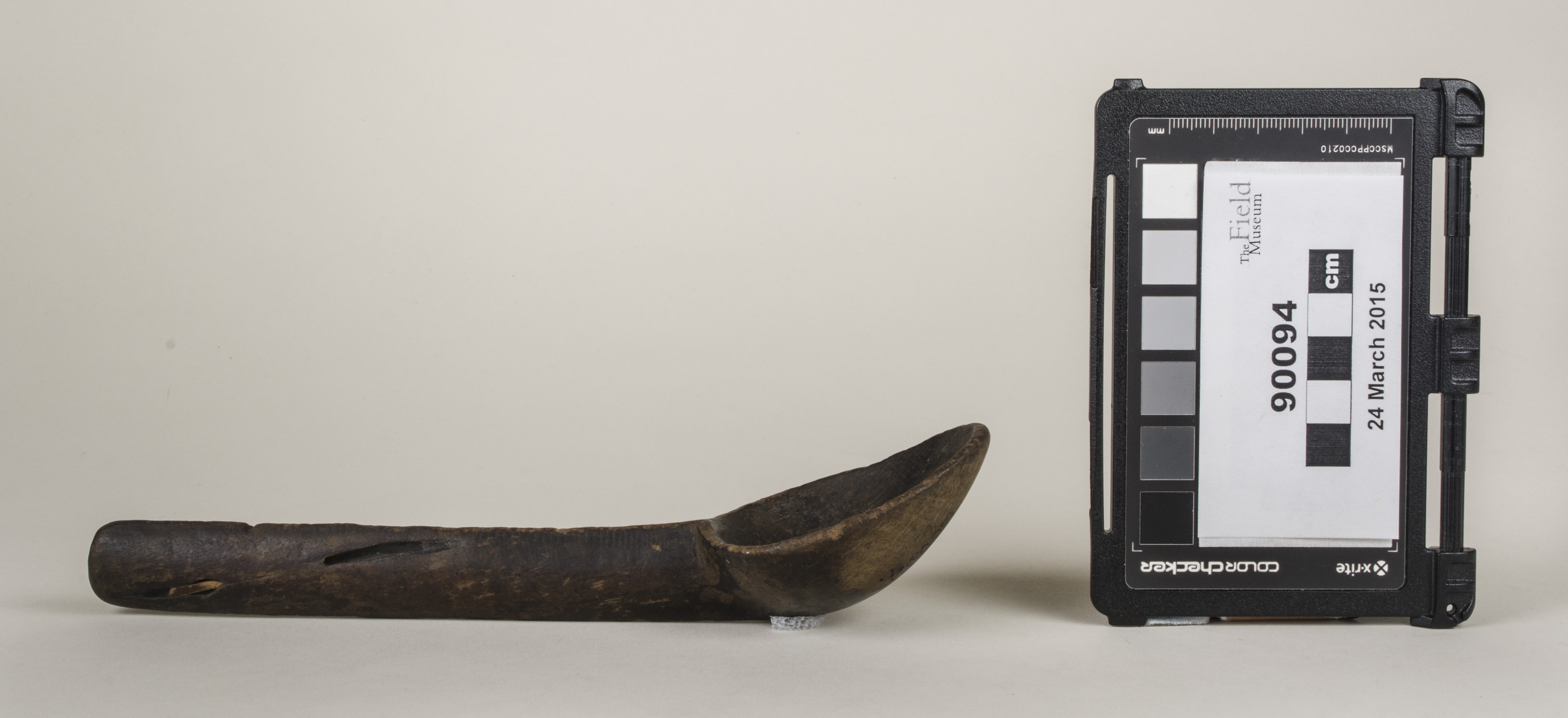 Side view (c) Field Museum of Natural History - CC BY-NC 4.0