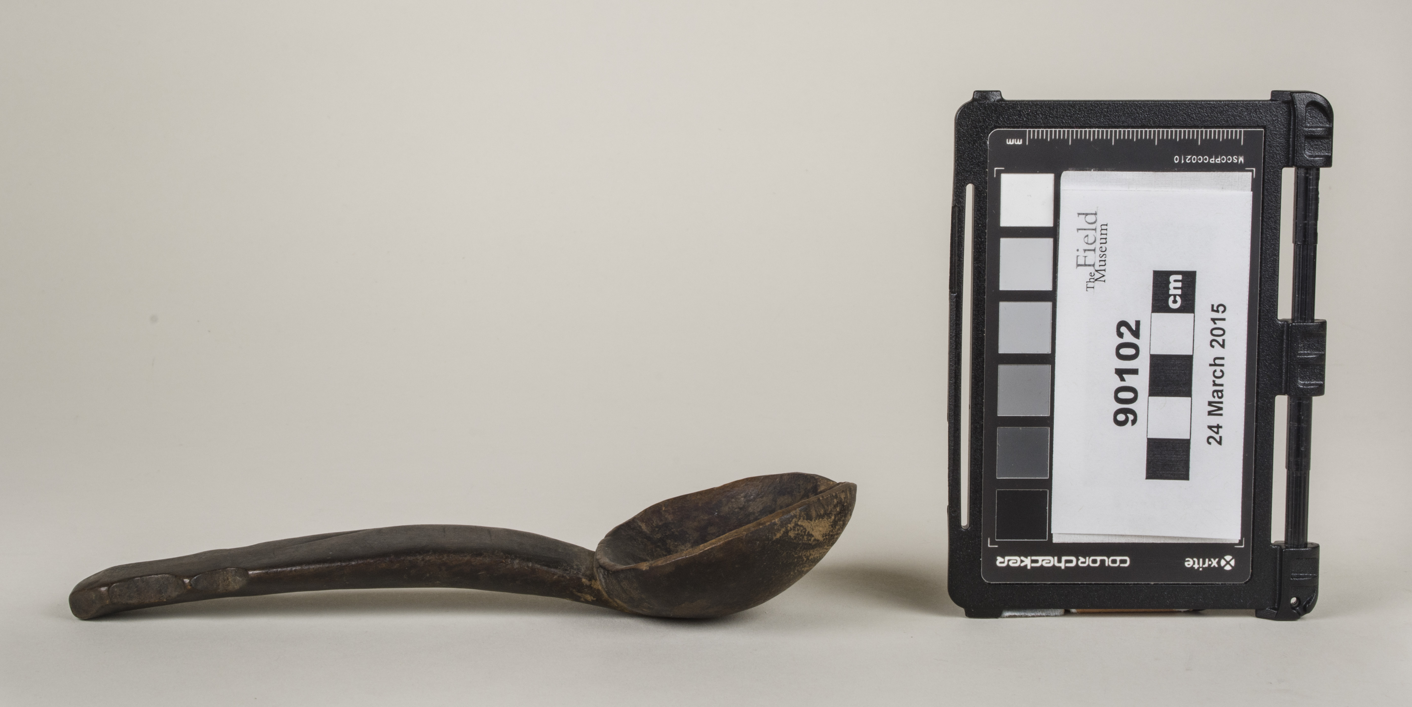 Side view (c) Field Museum of Natural History - CC BY-NC 4.0