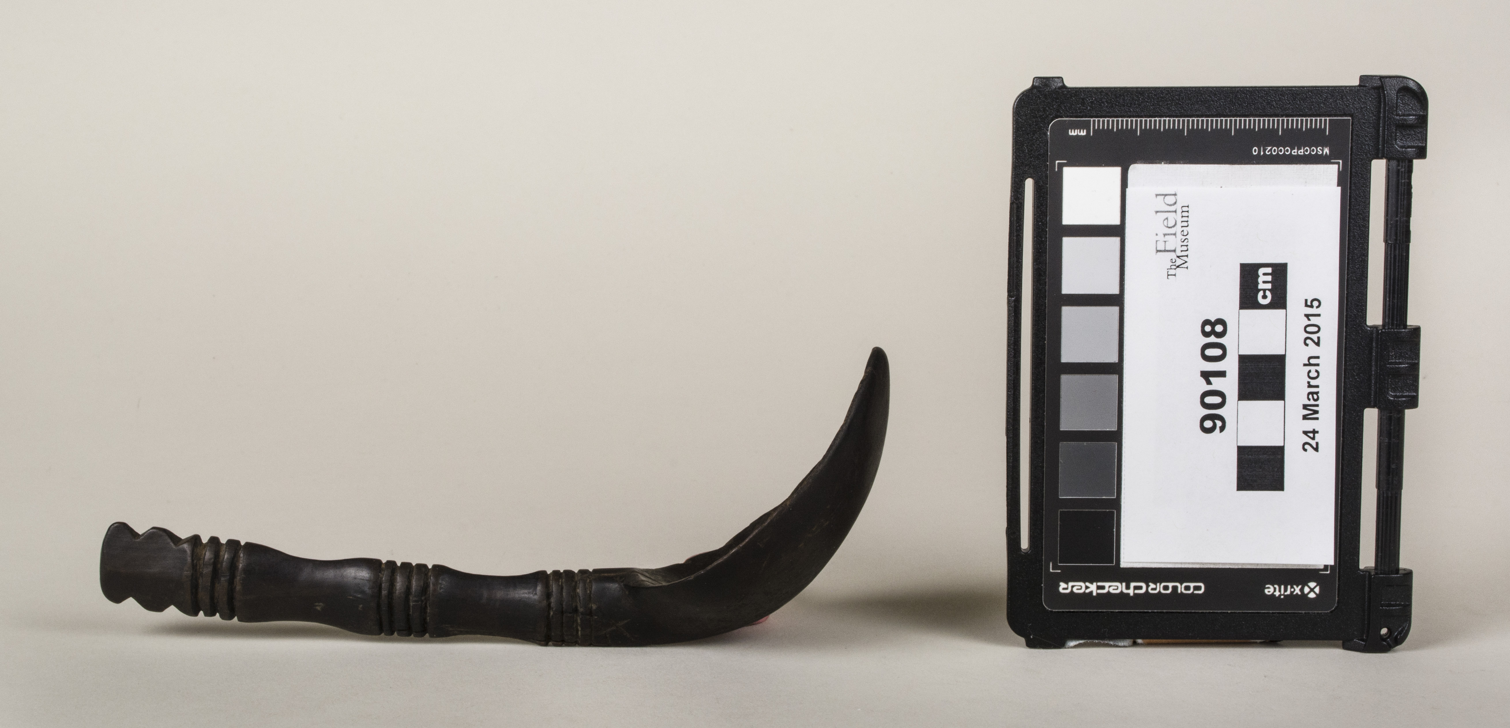 Side view (c) Field Museum of Natural History - CC BY-NC 4.0