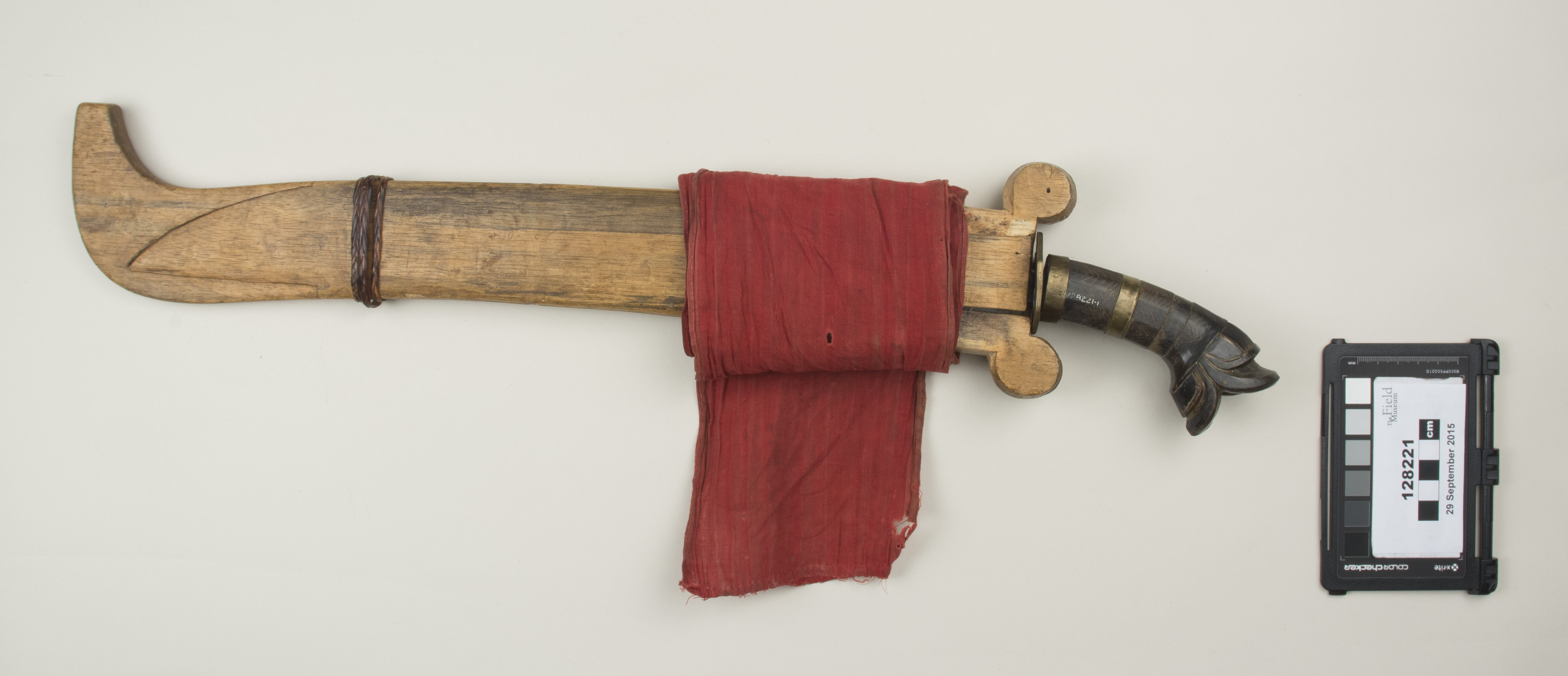 Top view (c) Field Museum of Natural History - CC BY-NC 4.0