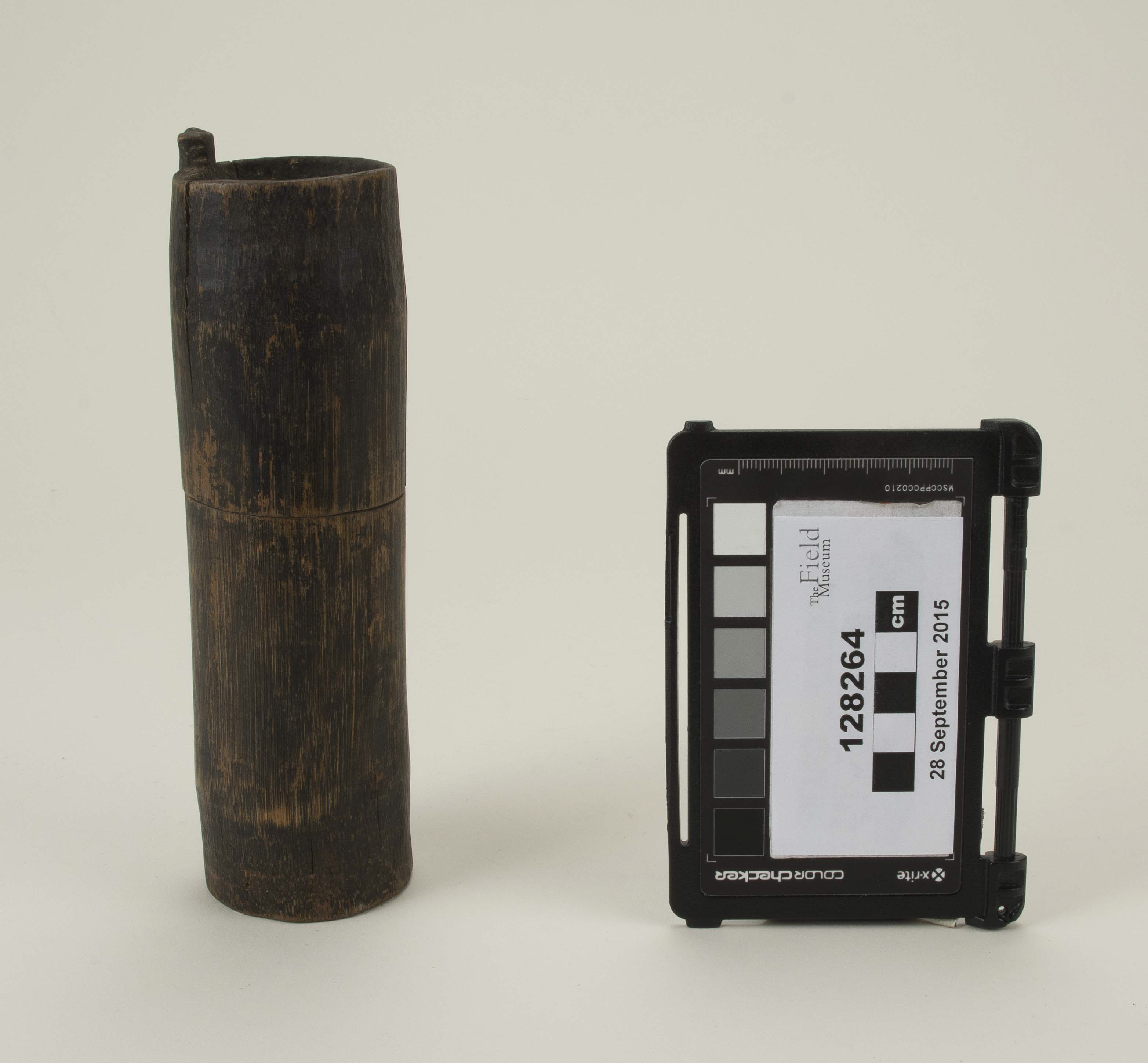 Front view (c) Field Museum of Natural History - CC BY-NC 4.0