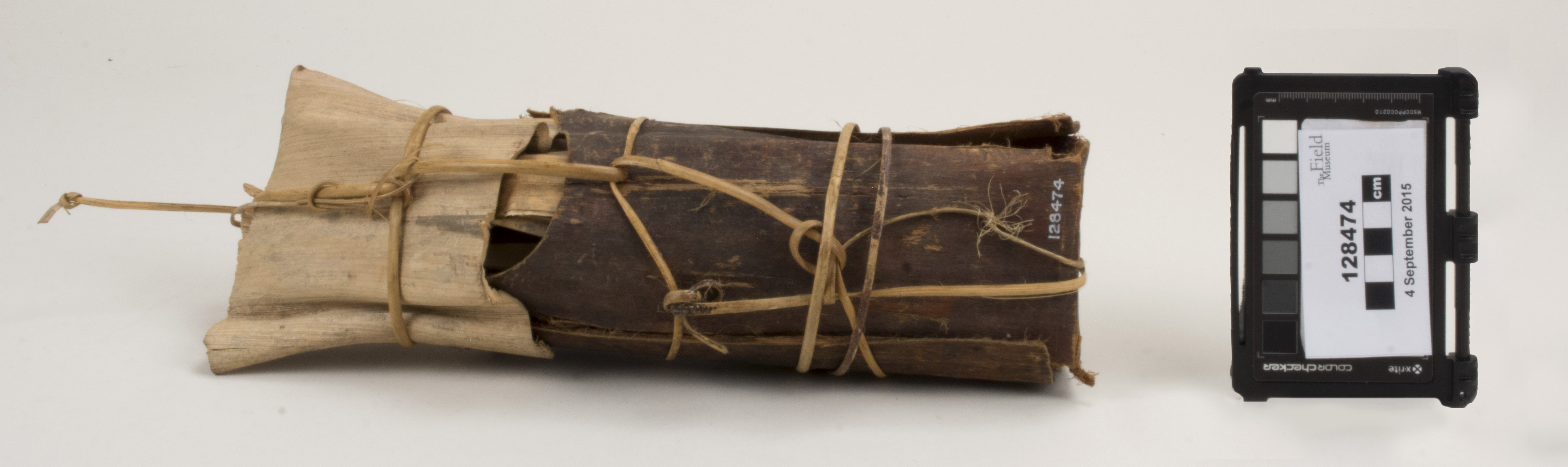 Side view (c) Field Museum of Natural History - CC BY-NC 4.0