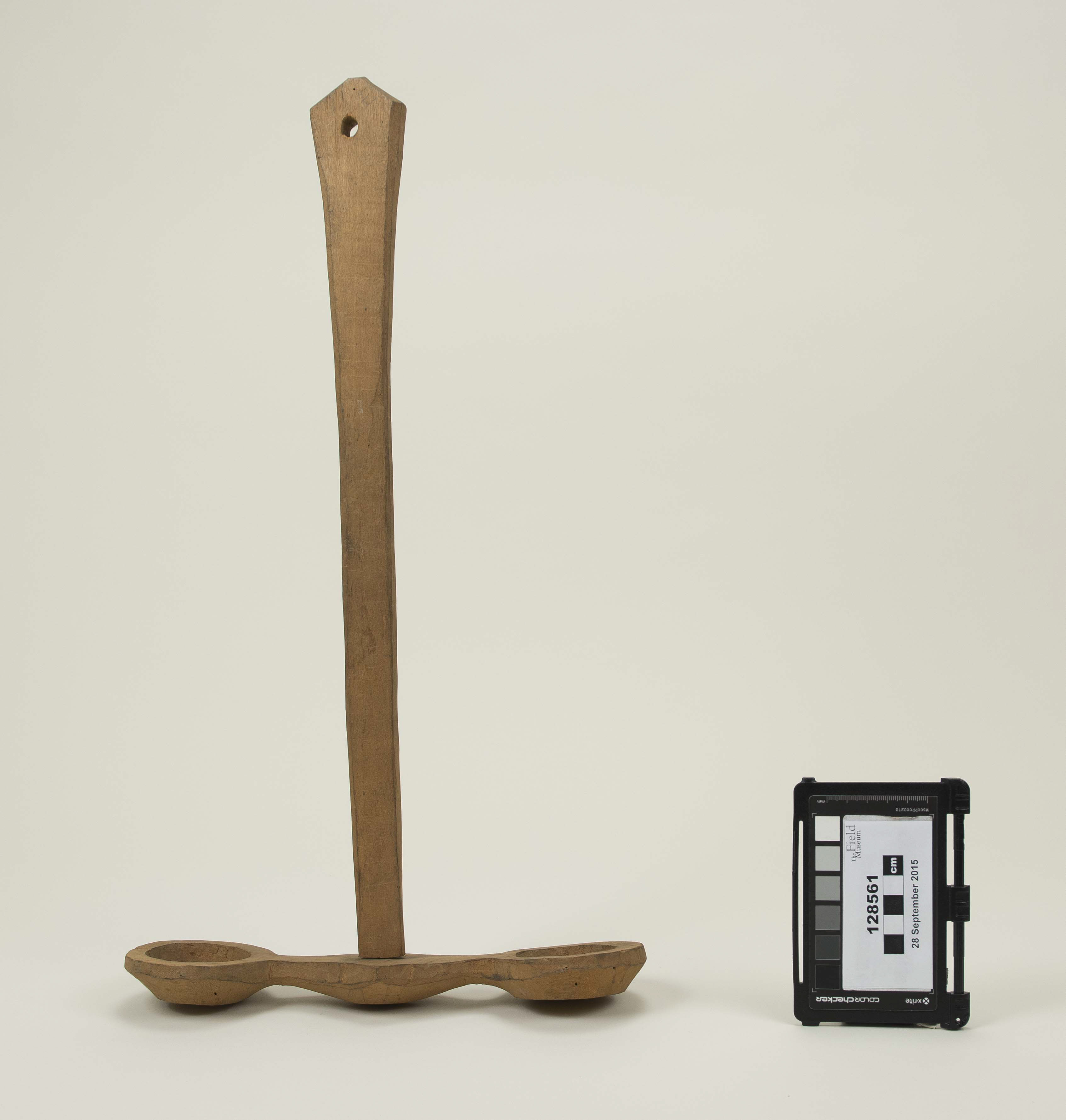 Front view (c) Field Museum of Natural History - CC BY-NC 4.0