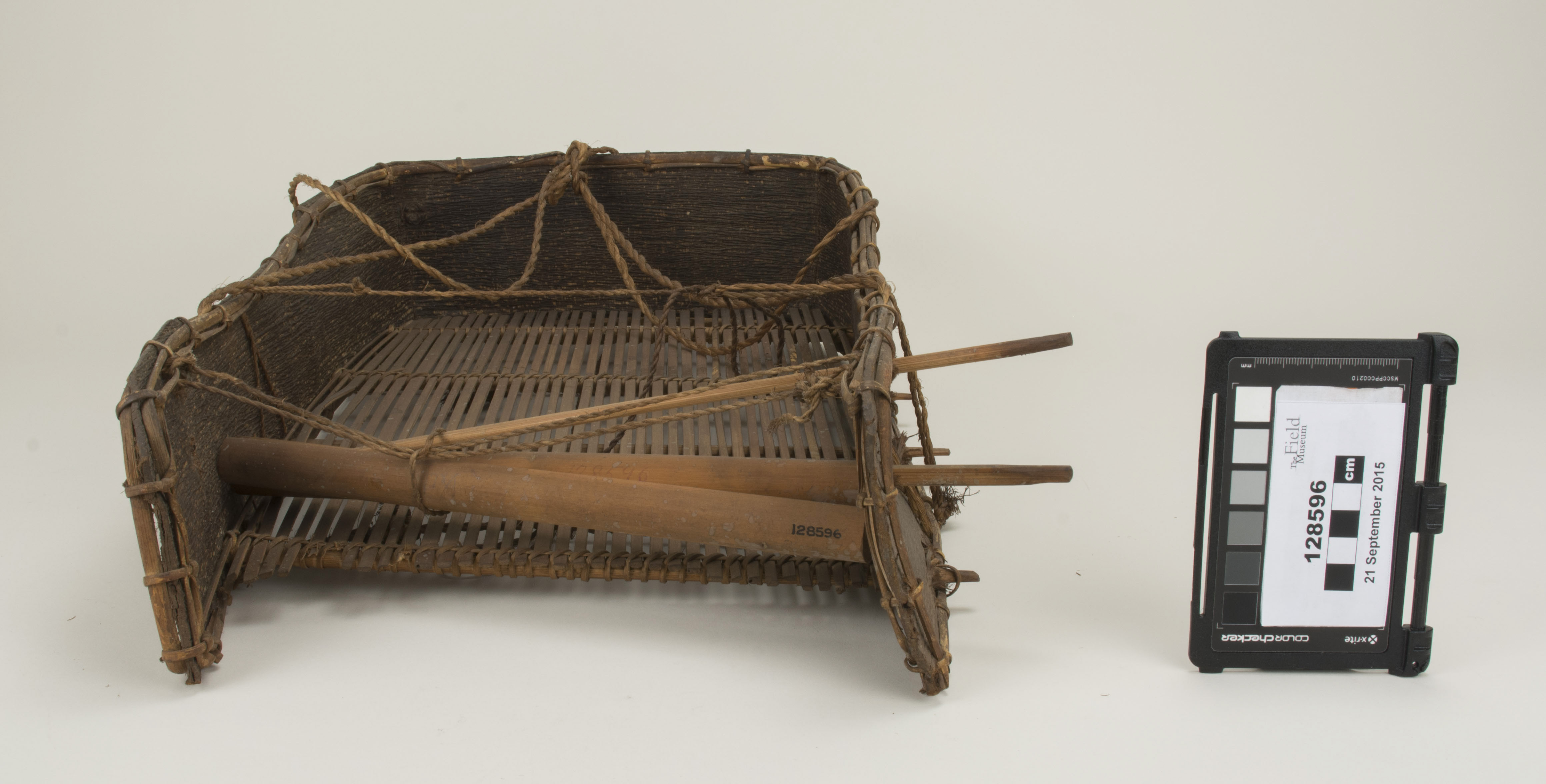 Front view (c) Field Museum of Natural History - CC BY-NC 4.0