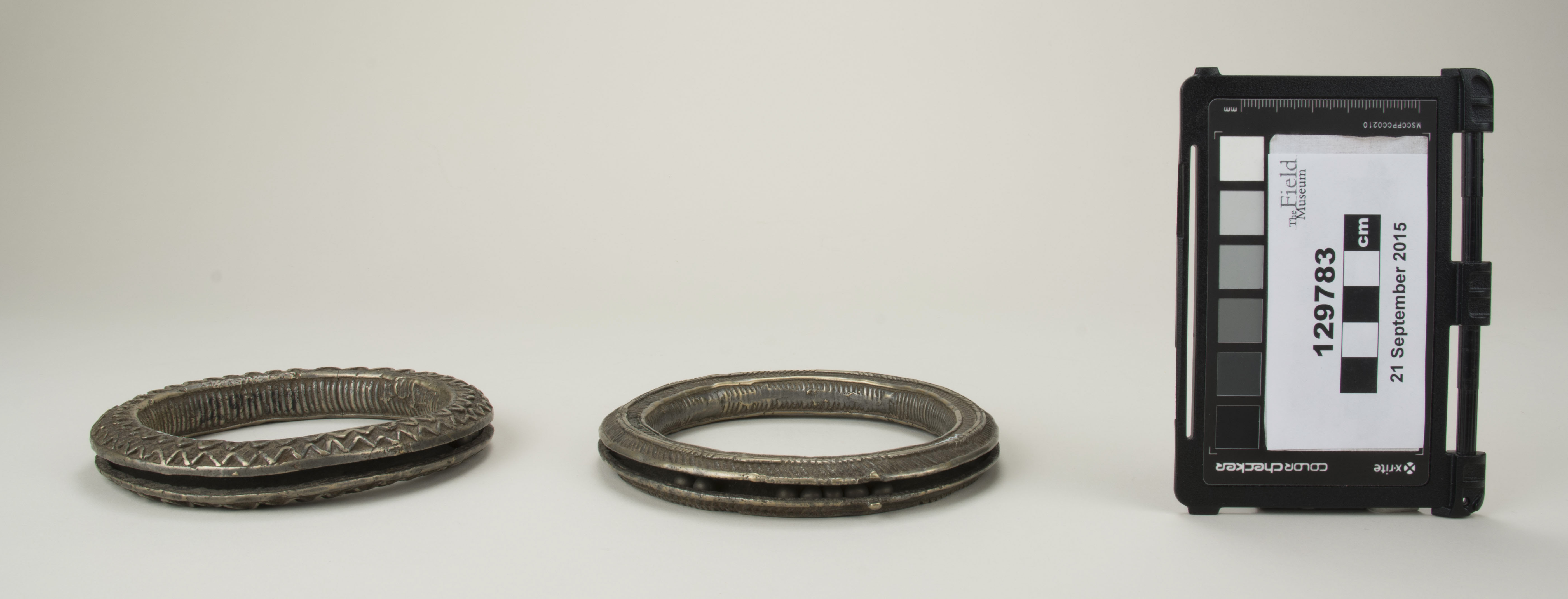 Front view (c) Field Museum of Natural History - CC BY-NC 4.0