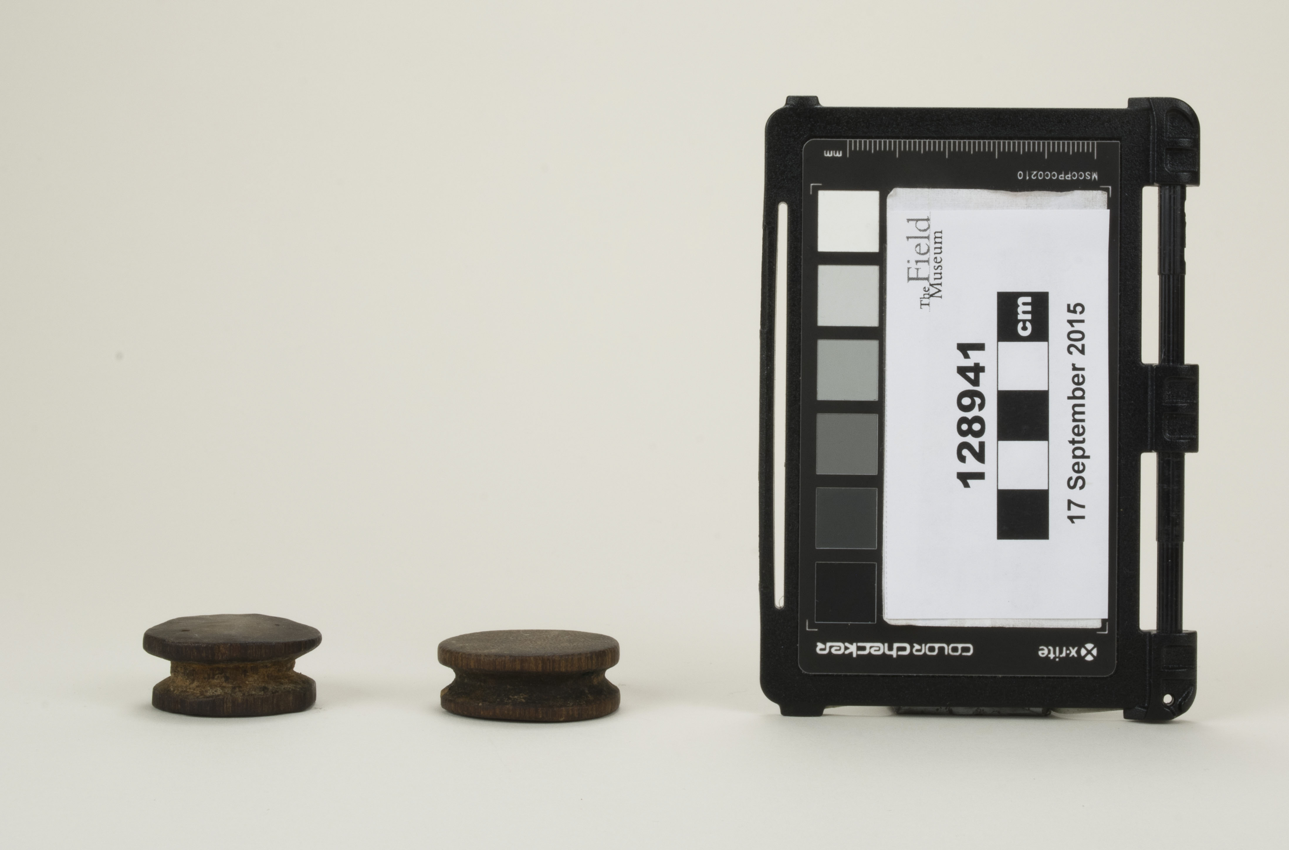 Front view (c) Field Museum of Natural History - CC BY-NC 4.0