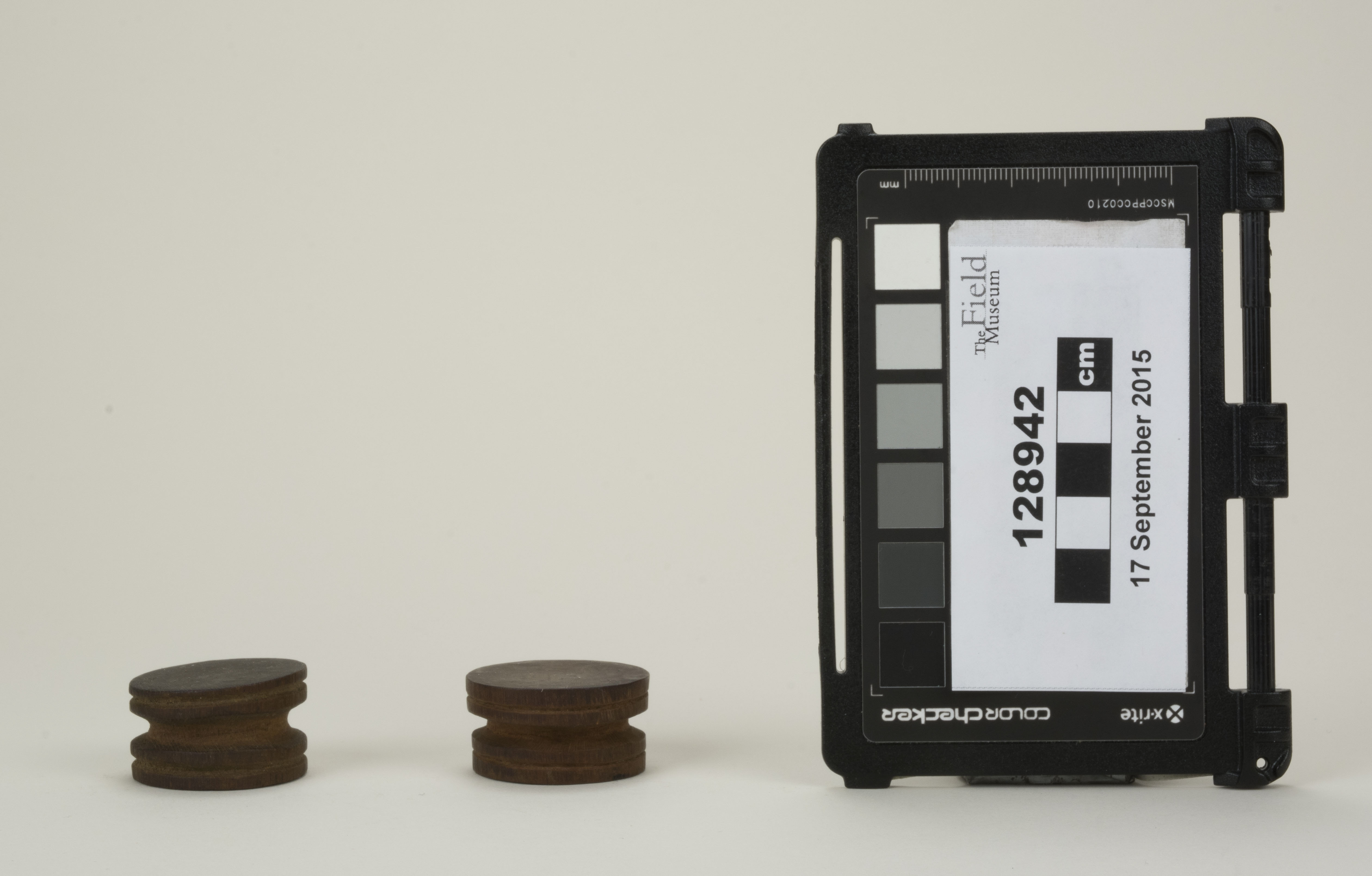 Front view (c) Field Museum of Natural History - CC BY-NC 4.0