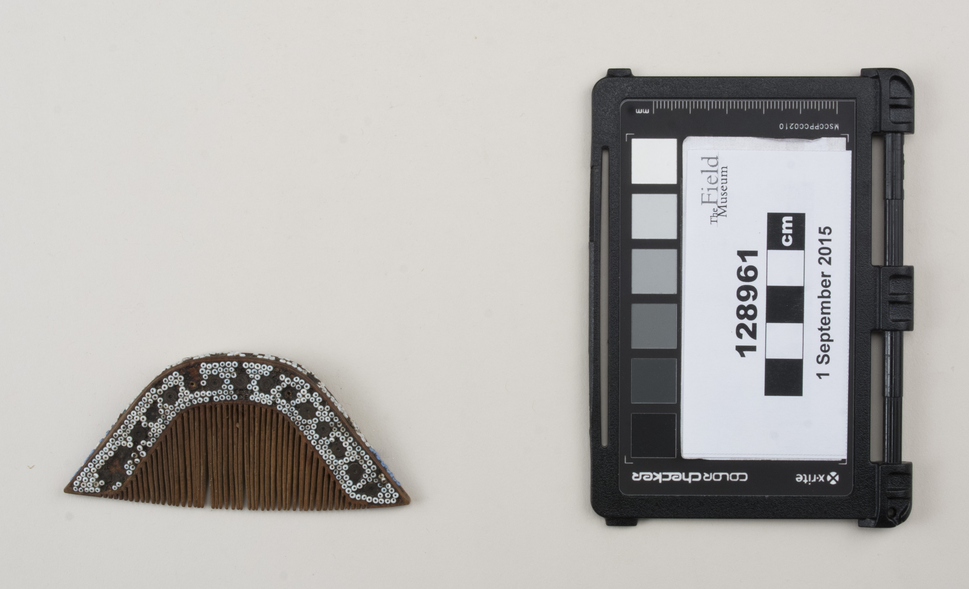 Top view (c) Field Museum of Natural History - CC BY-NC 4.0