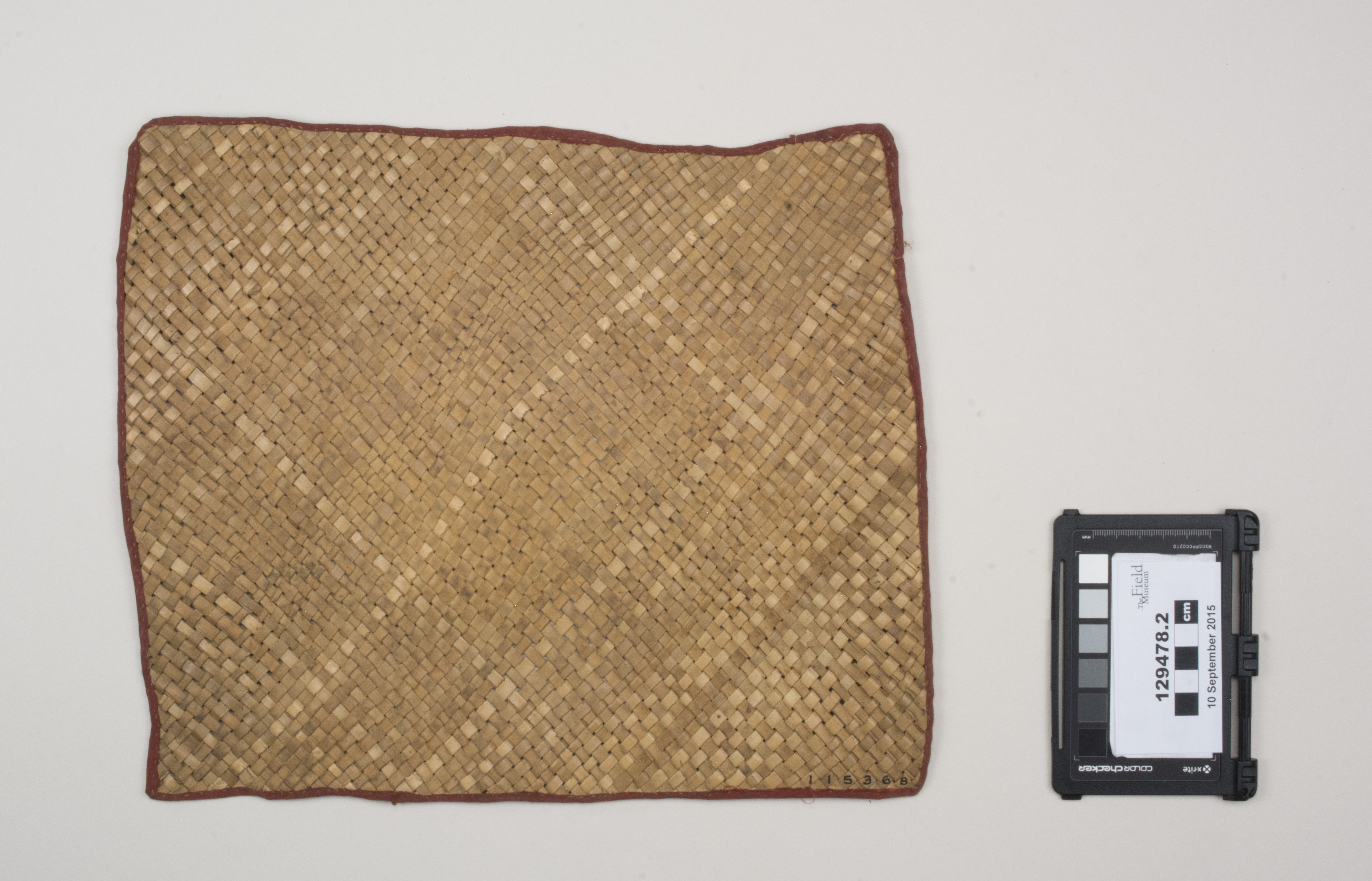 Top view (c) Field Museum of Natural History - CC BY-NC 4.0