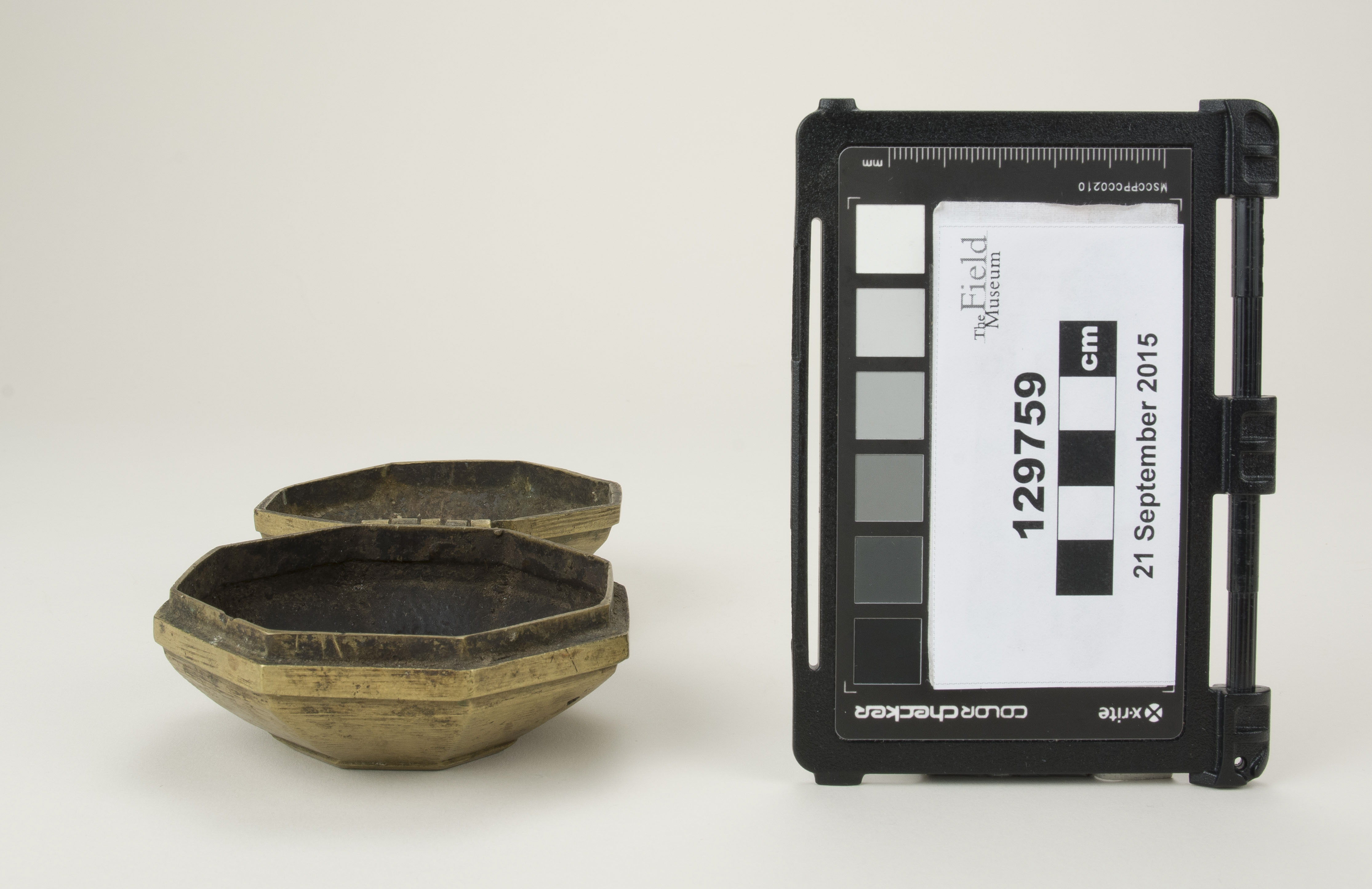 Front open view (c) Field Museum of Natural History - CC BY-NC 4.0