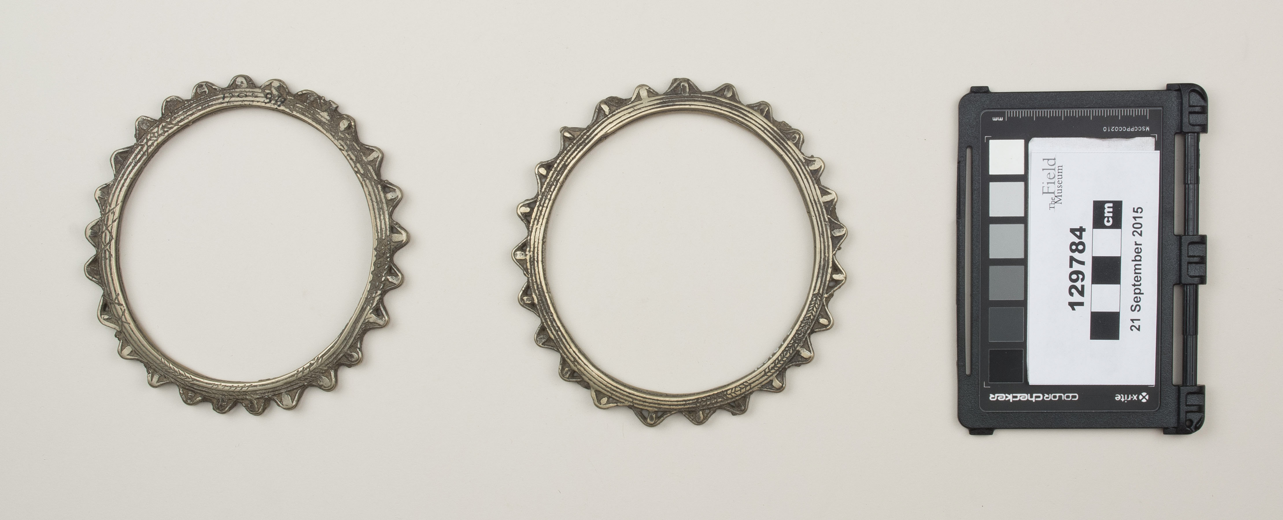 Top view (c) Field Museum of Natural History - CC BY-NC 4.0