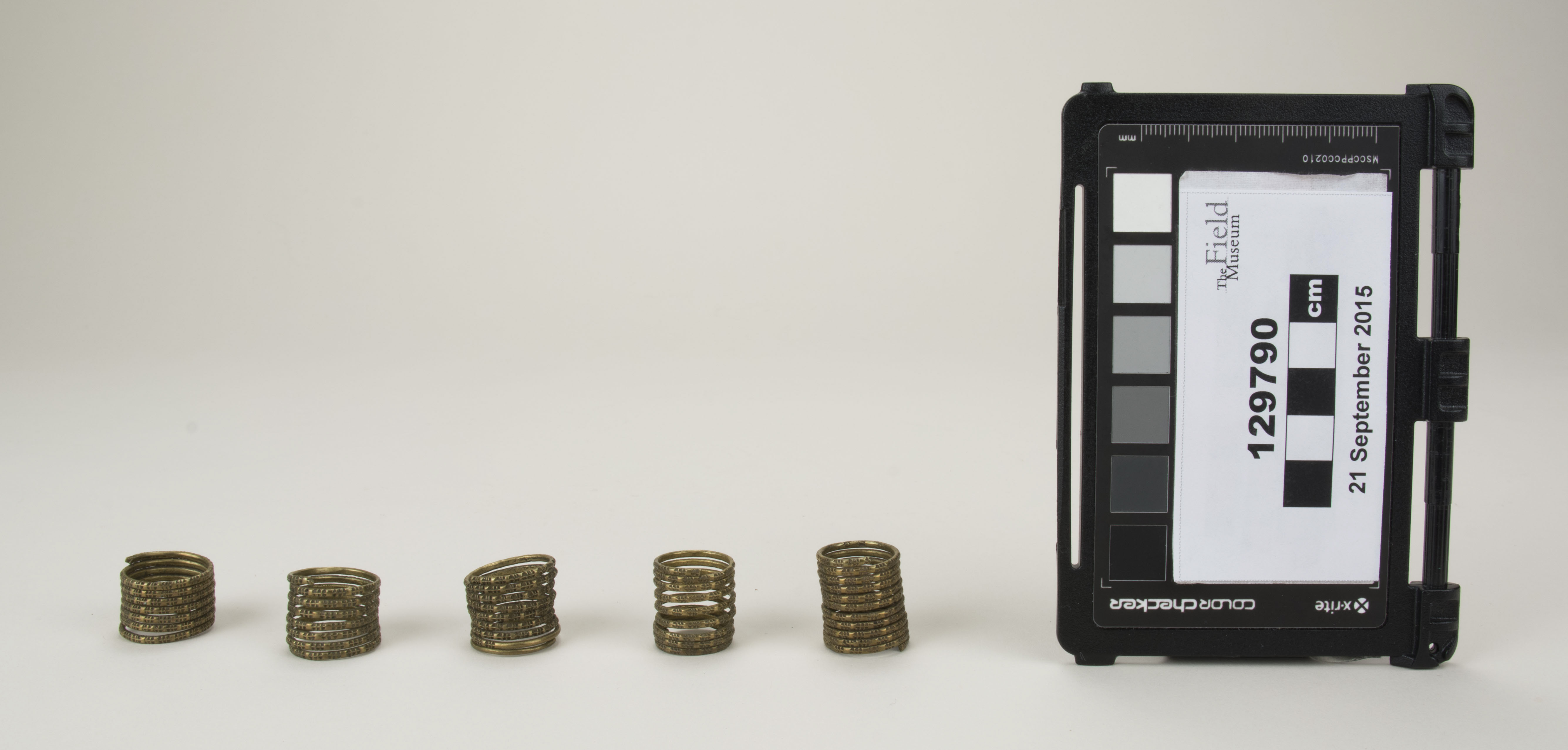 Front view (c) Field Museum of Natural History - CC BY-NC 4.0