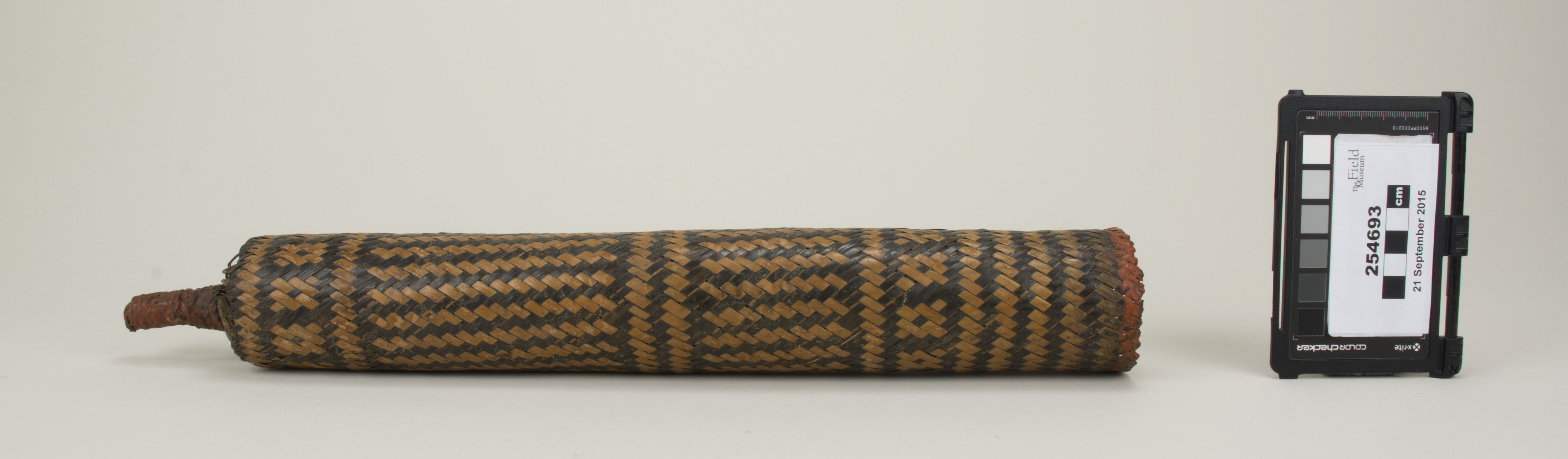 Side view (c) Field Museum of Natural History - CC BY-NC 4.0