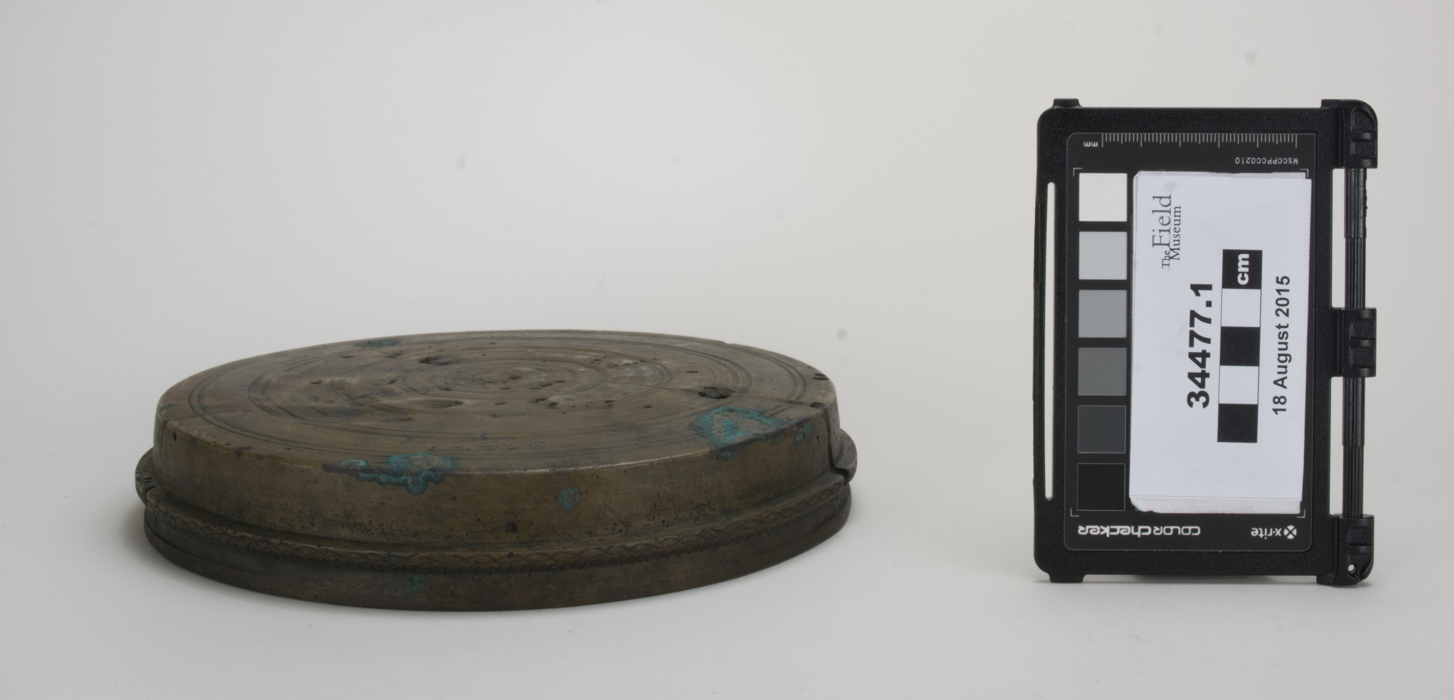 Front view (c) Field Museum of Natural History - CC BY-NC 4.0