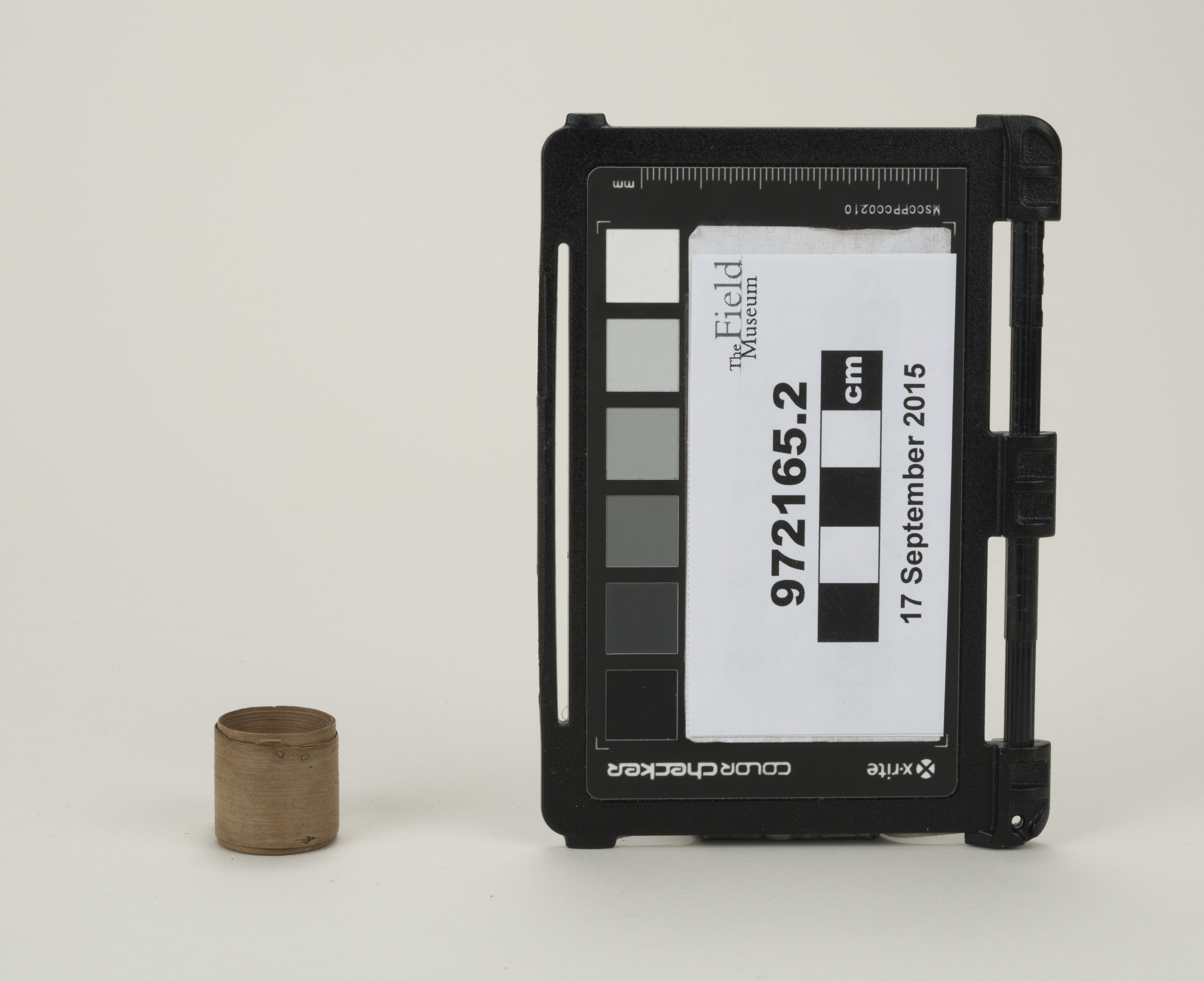 Front view (c) Field Museum of Natural History - CC BY-NC 4.0