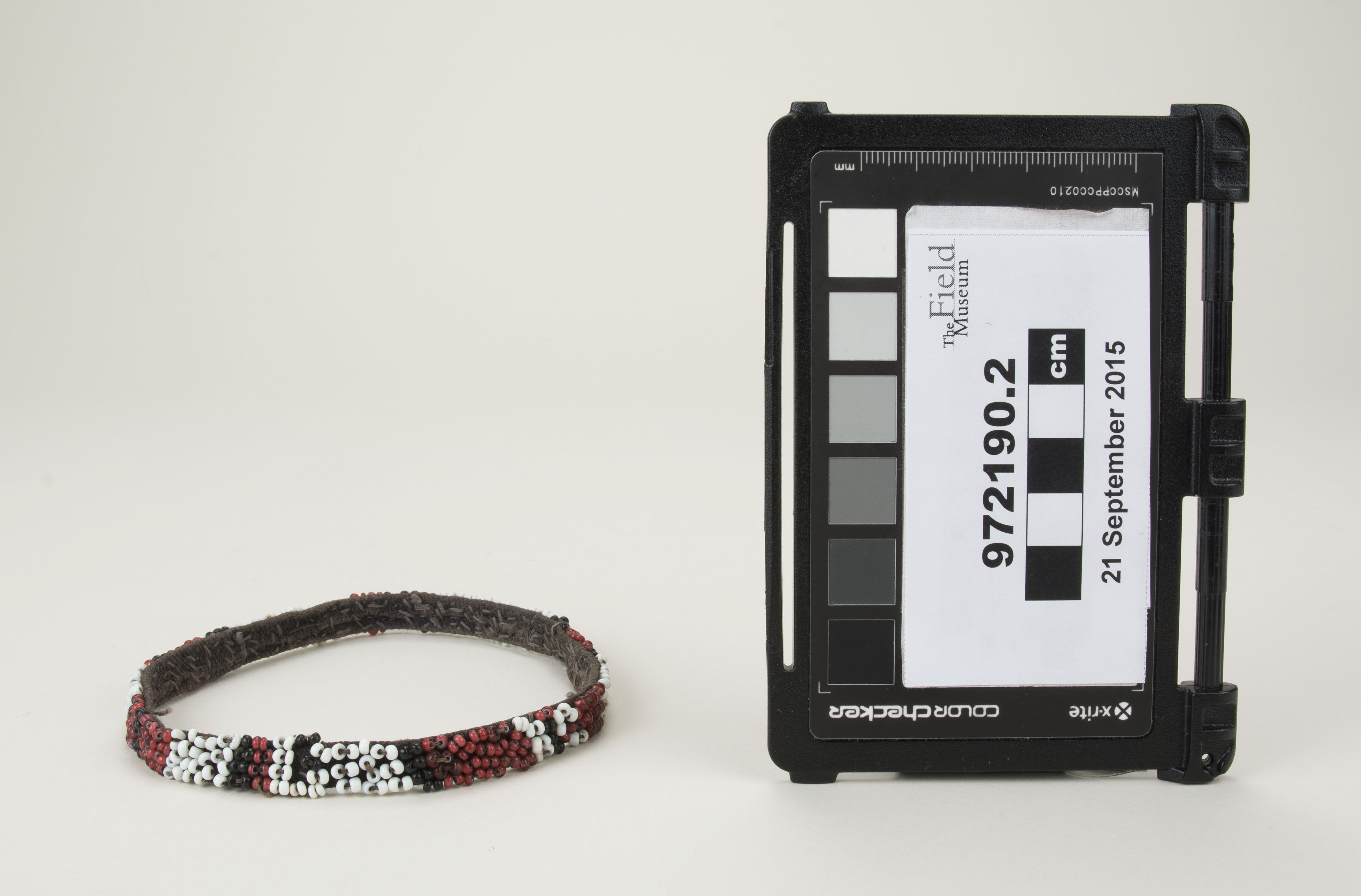 Front view (c) Field Museum of Natural History - CC BY-NC 4.0