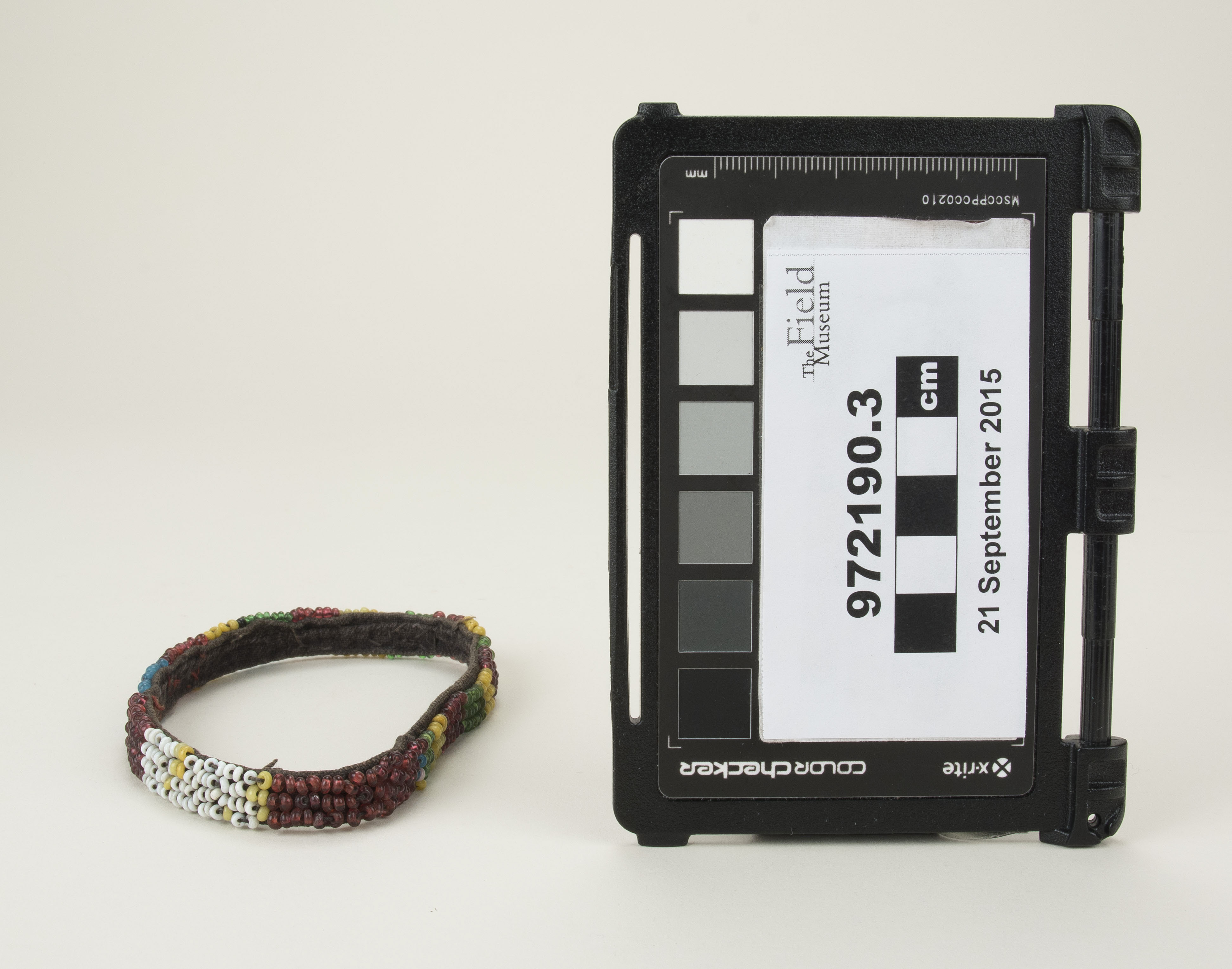 Front view (c) Field Museum of Natural History - CC BY-NC 4.0