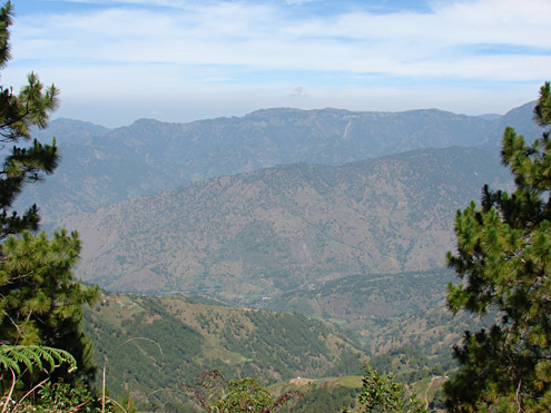 Sparse pine forest is present over much of the southern Central Cordillera, where the mountains are steep and are burned frequently. View from Mt. Pulag, toward Atok and the Halsema Highway, 1500-2300m, Benguet Province, Luzon (c) Field Museum of Natural History