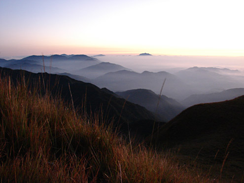 The top of Mt. Pulag is covered with grassland composed of dwarf bamboo and grasses. Fires sweep through the area periodically, preventing mossy forest from regenerating. Mt. Pulag, 2800m, Benguet Province, Luzon. (c) Field Museum of Natural History
