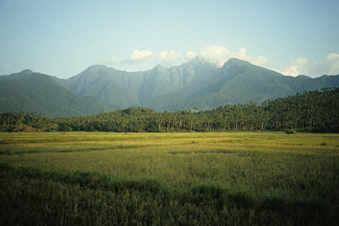 The water that irrigates riceland in many parts of the Philippines originates in nearby steep mountains where rainfall is two to four times greater than in the lowlands. Near Tampayan, Sibuyan Island. (c) Field Museum of Natural History