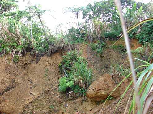 Where watersheds are not protected, erosion often takes place quickly and severely. Saddle Peak, Camarines Sur Province, Luzon. (c) Field Museum of Natural History