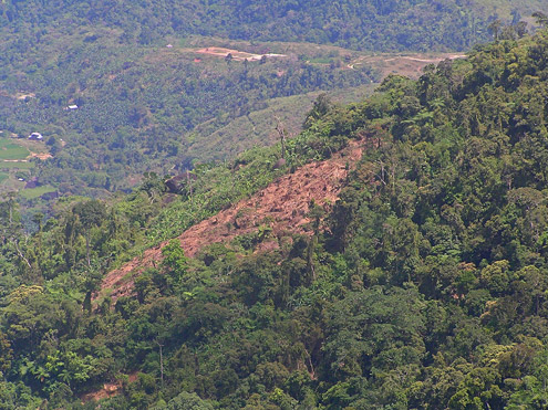 Hillsides that have been cleared for farming often are exposed to heavy rains, resulting in heavy erosion. Mt. Palali, Nueva Vizcaya Province, Luzon. (c) Field Museum of Natural History
