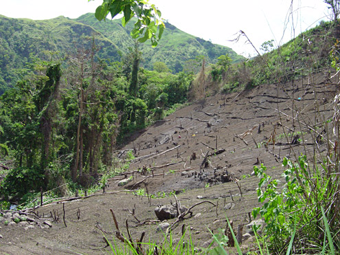 Impoverished farmers without access to productive land in the lowlands often attempt to grow crops in unsustainable situations. Mungiao Mountains, Quirino Province, Luzon. (c) Field Museum of Natural History