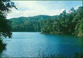 The moist tropical climate resulted in luxuriant rain forest that once covered at least 95 percent of the Philippines, harboring one of the highest densities of unique species anywhere on the earth. Lake Balinsasayo (above) is one of the most beautiful places on NegrosIsland. (c) Field Museum of Natural History - CC BY-NC 4.0