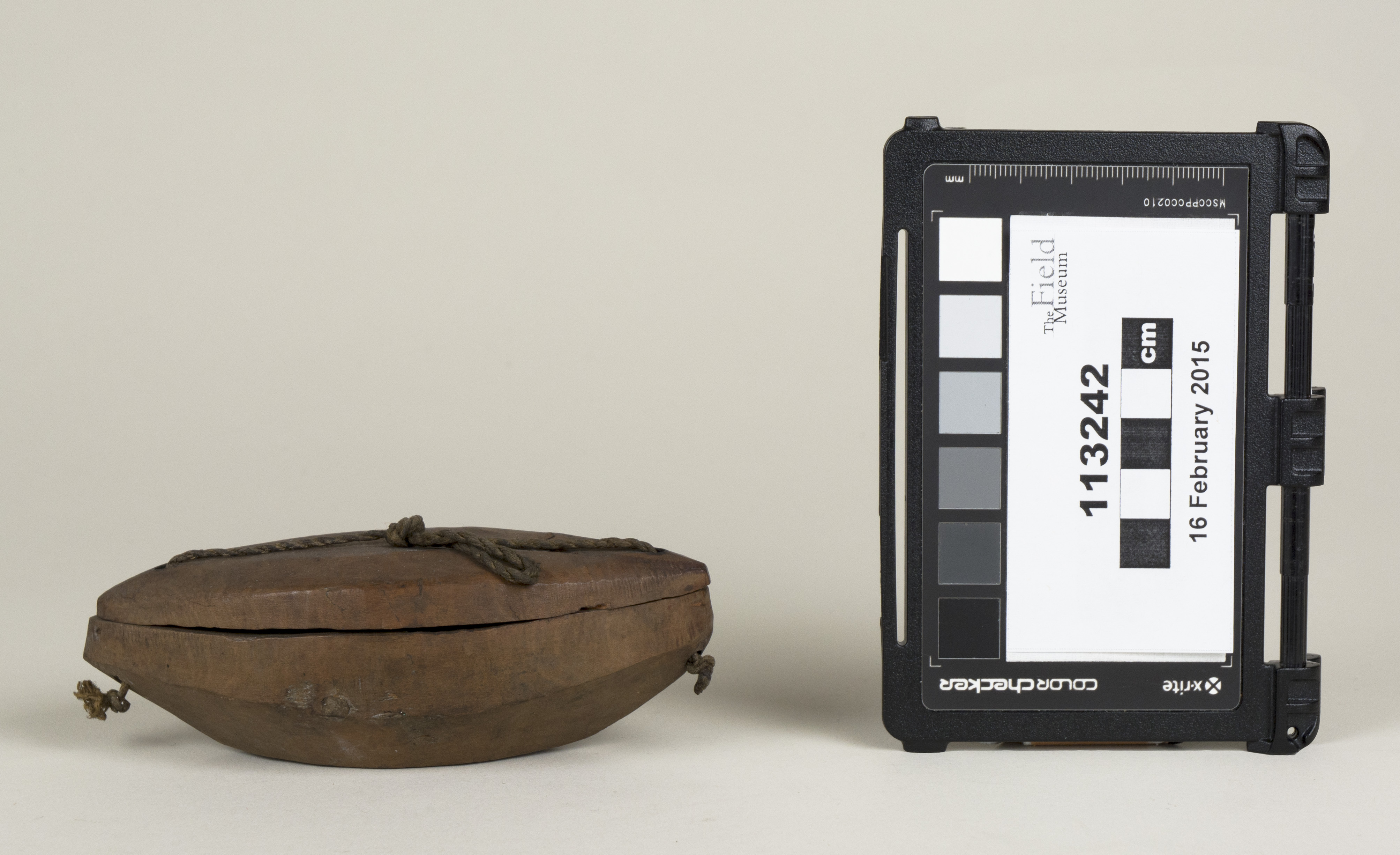 Side view (c) Field Museum of Natural History - CC BY-NC 4.0