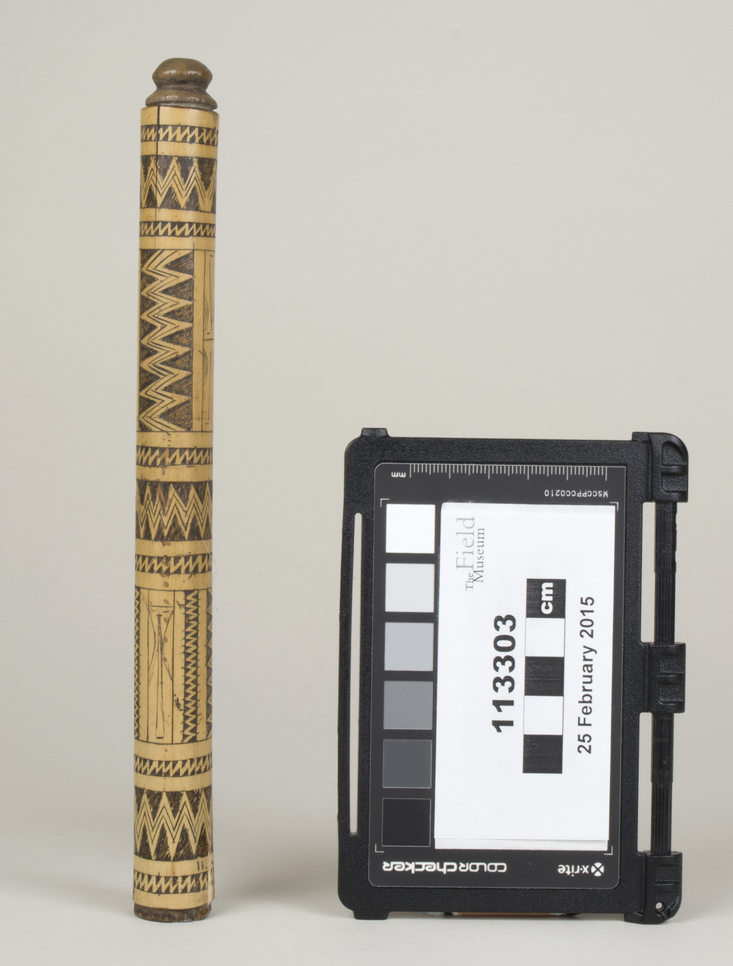 Front view (c) Field Museum of Natural History - CC BY-NC 4.0