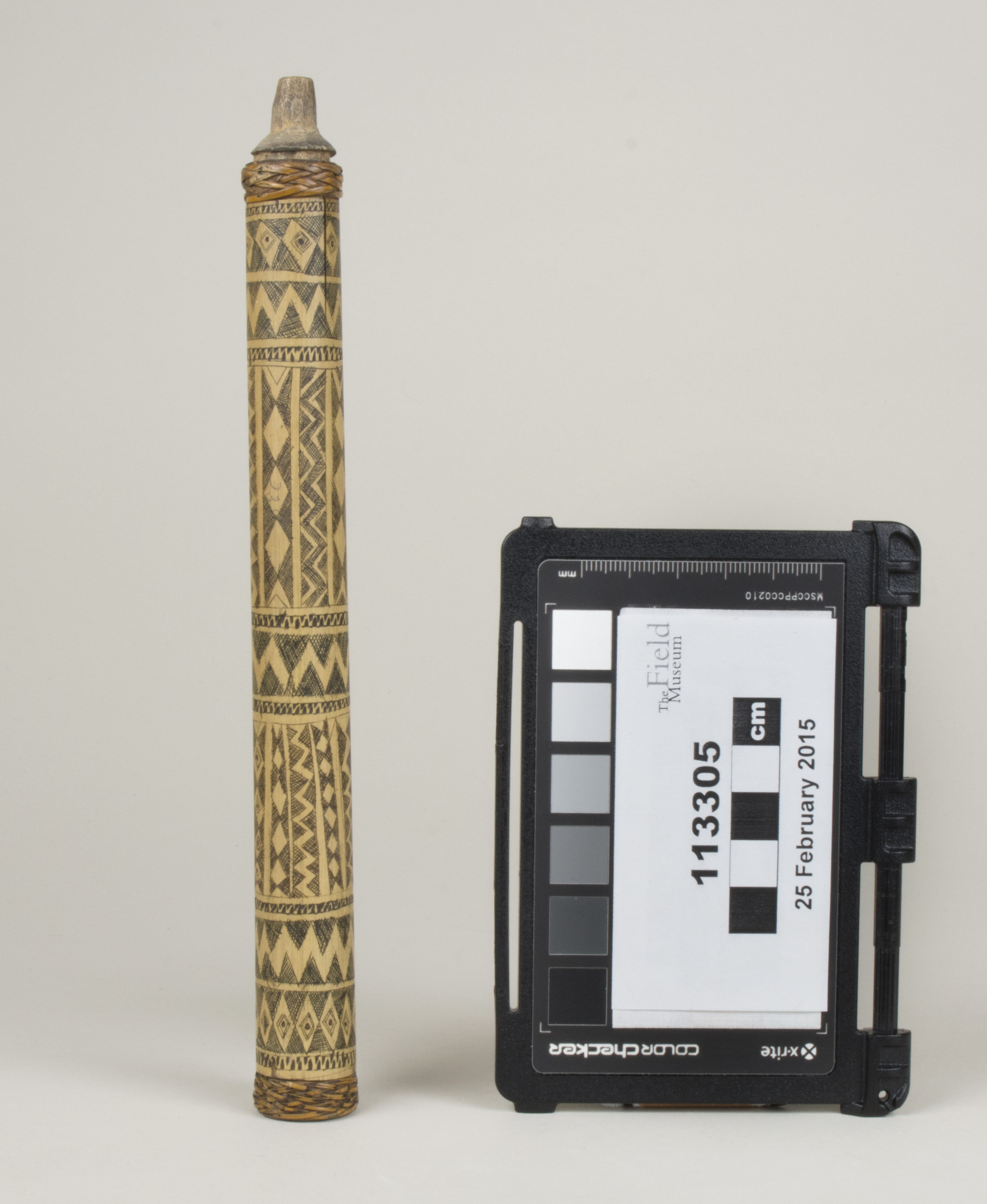 Front view (c) Field Museum of Natural History - CC BY-NC 4.0