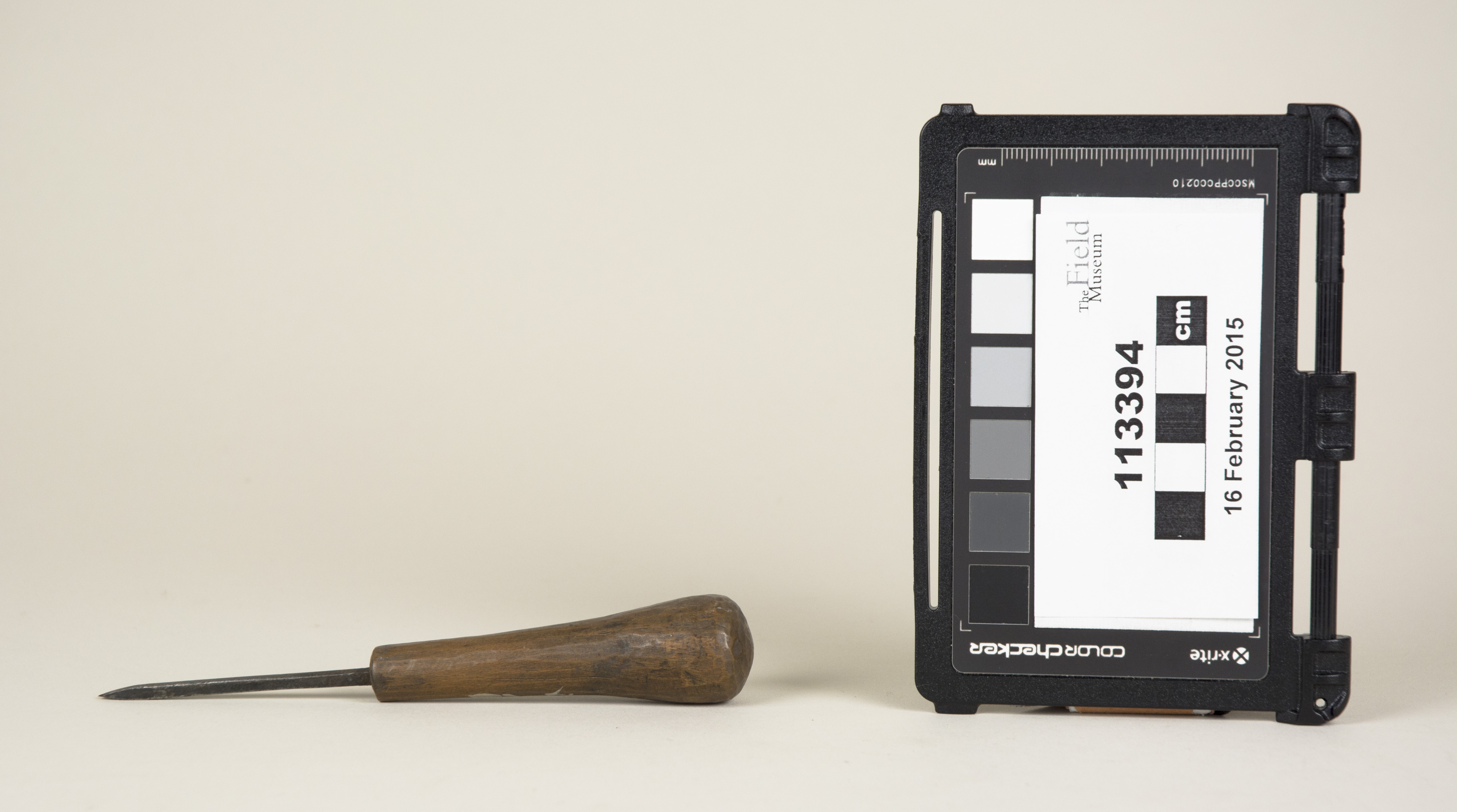 Side view (c) Field Museum of Natural History - CC BY-NC 4.0